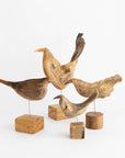 Osamu Harihara Driftwood Birds | Tortoise General Store