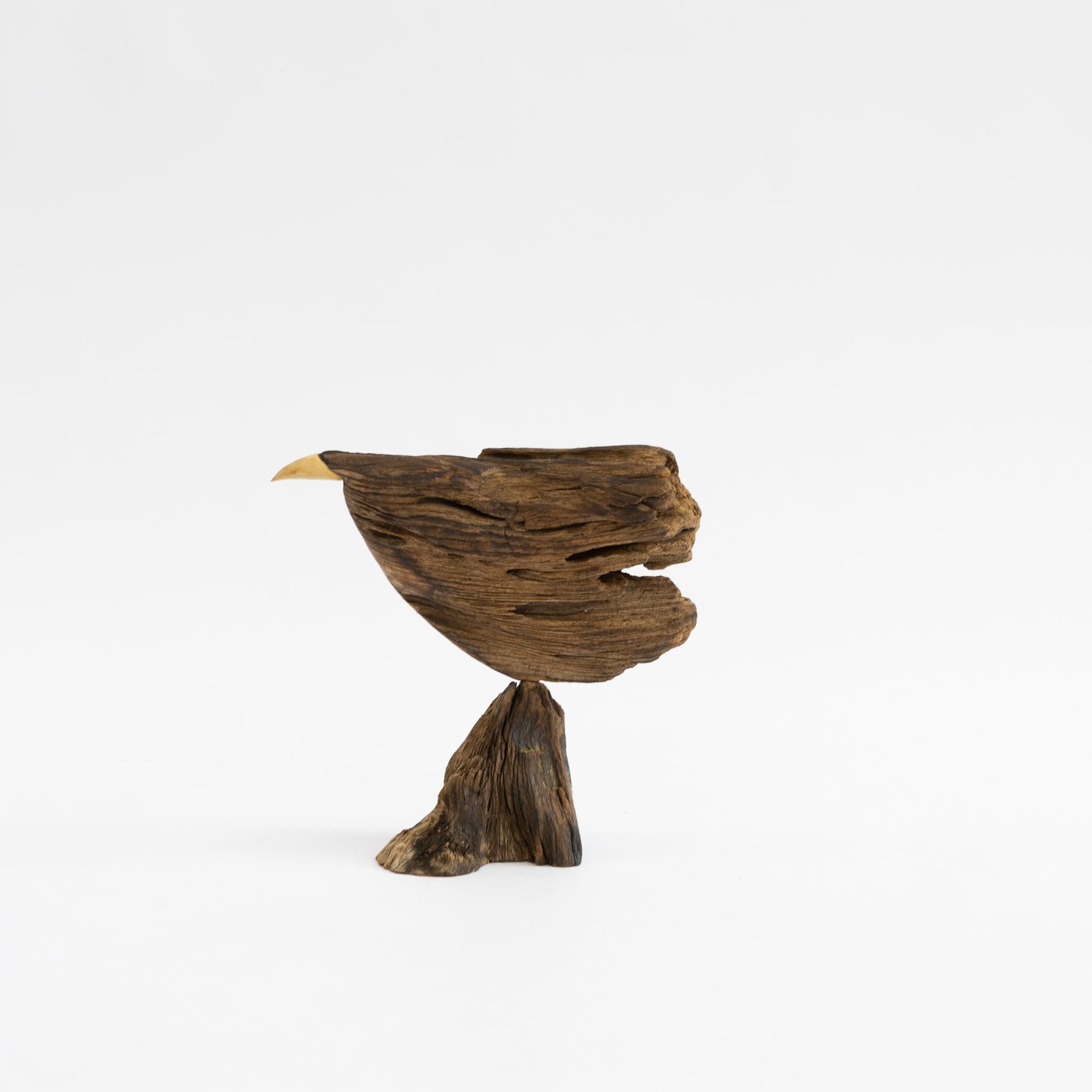 Osamu Harihara Driftwood Birds | Tortoise General Store