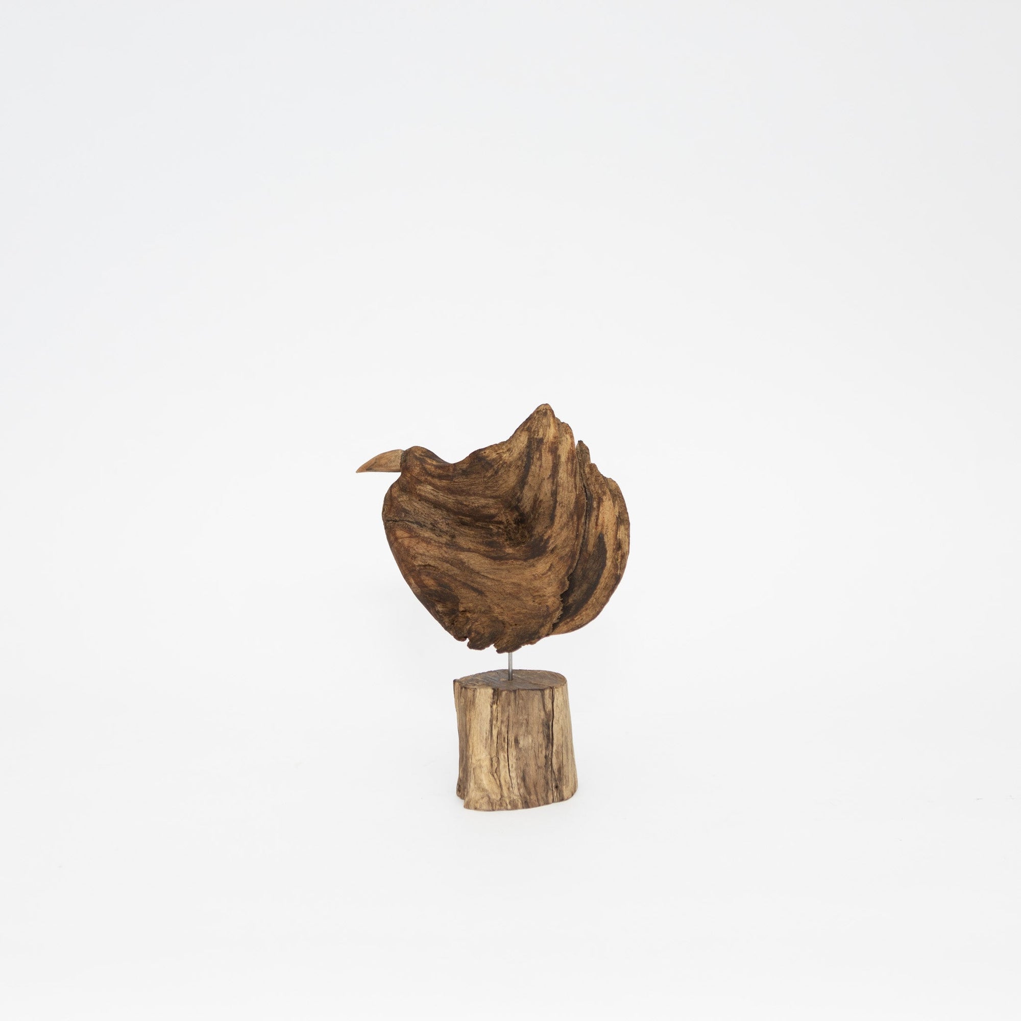 Osamu Harihara Driftwood Birds | Tortoise General Store