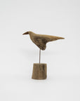Osamu Harihara Driftwood Birds | Tortoise General Store