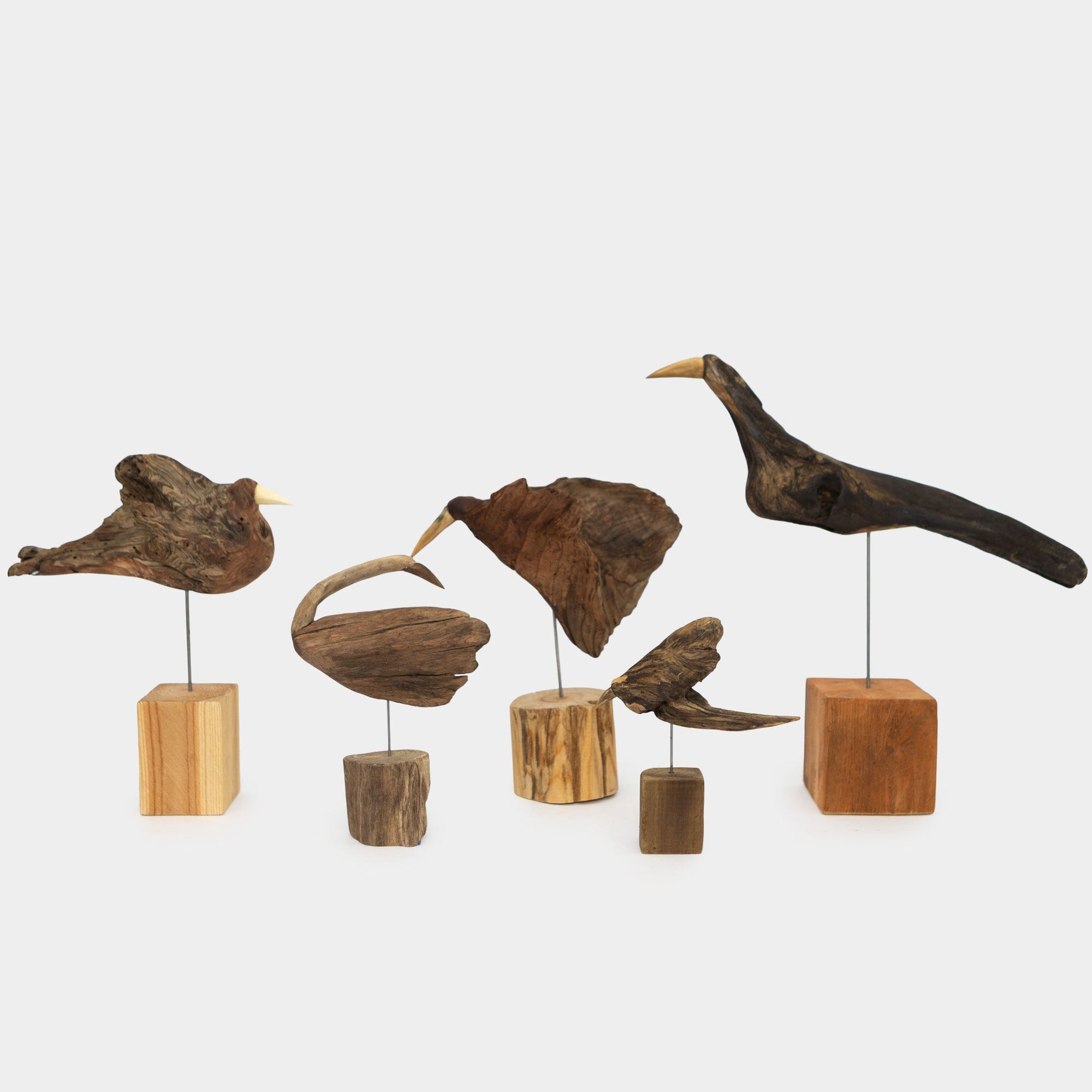 Osamu Harihara Driftwood Birds | Tortoise General Store