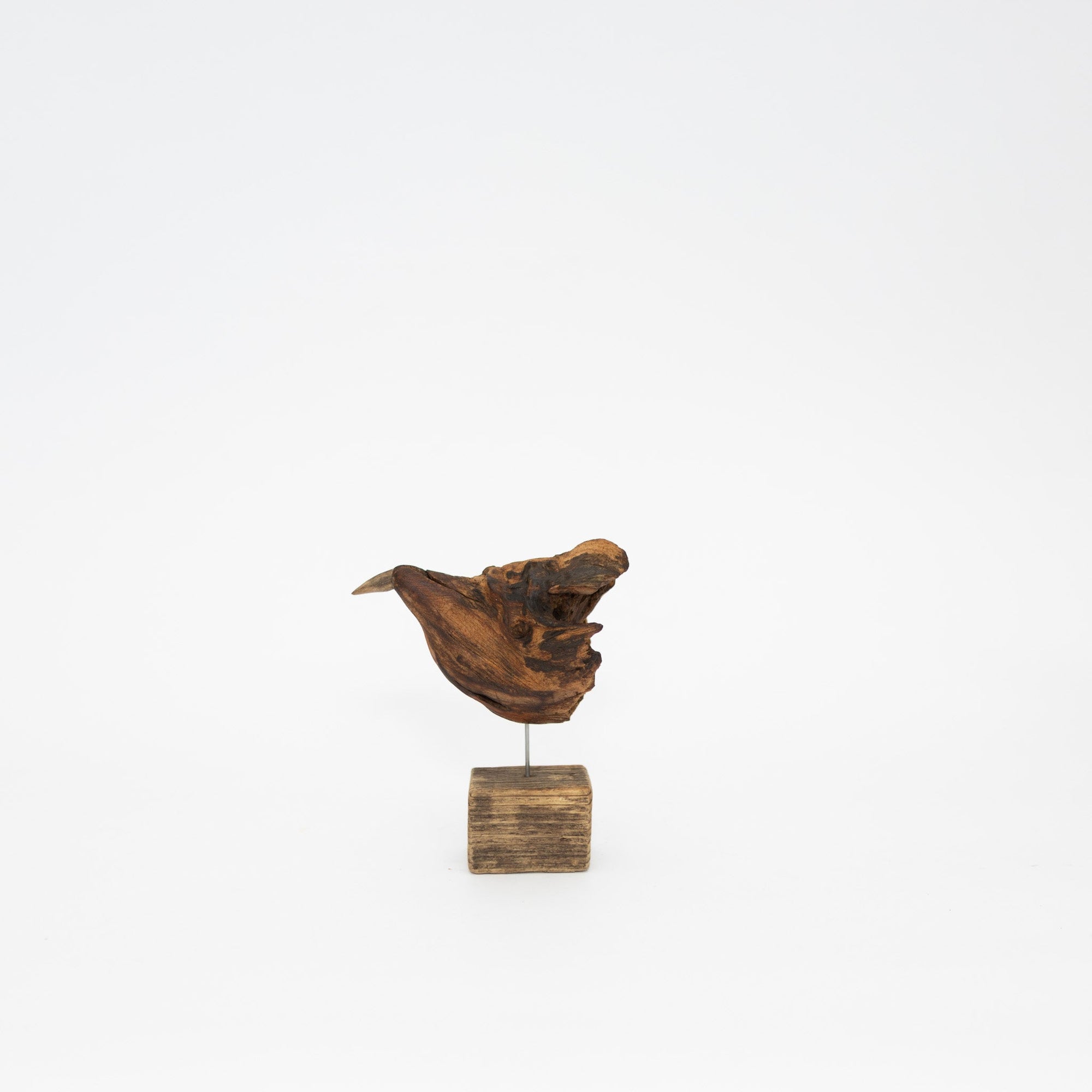 Osamu Harihara Driftwood Birds | Tortoise General Store