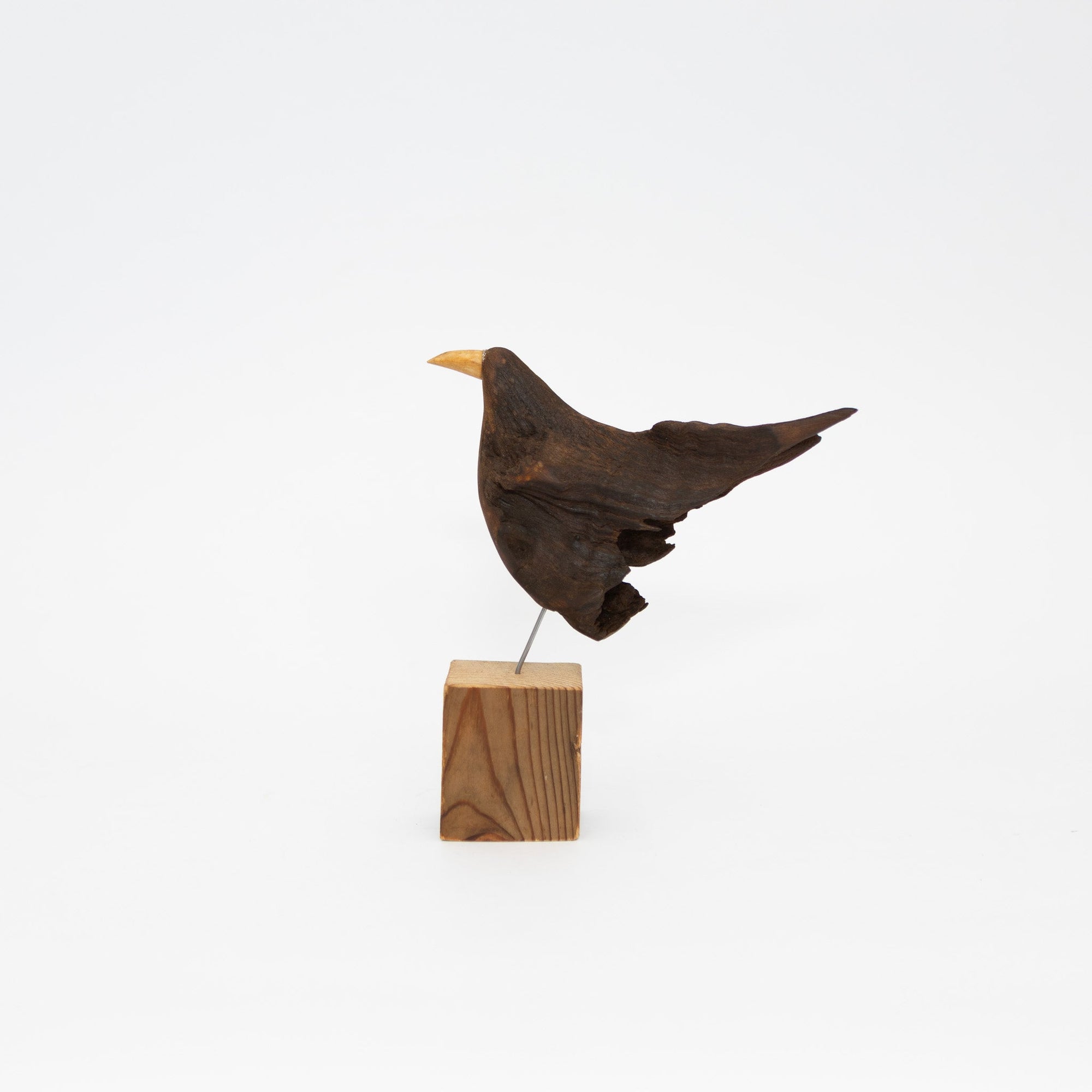 Osamu Harihara Driftwood Birds | Tortoise General Store