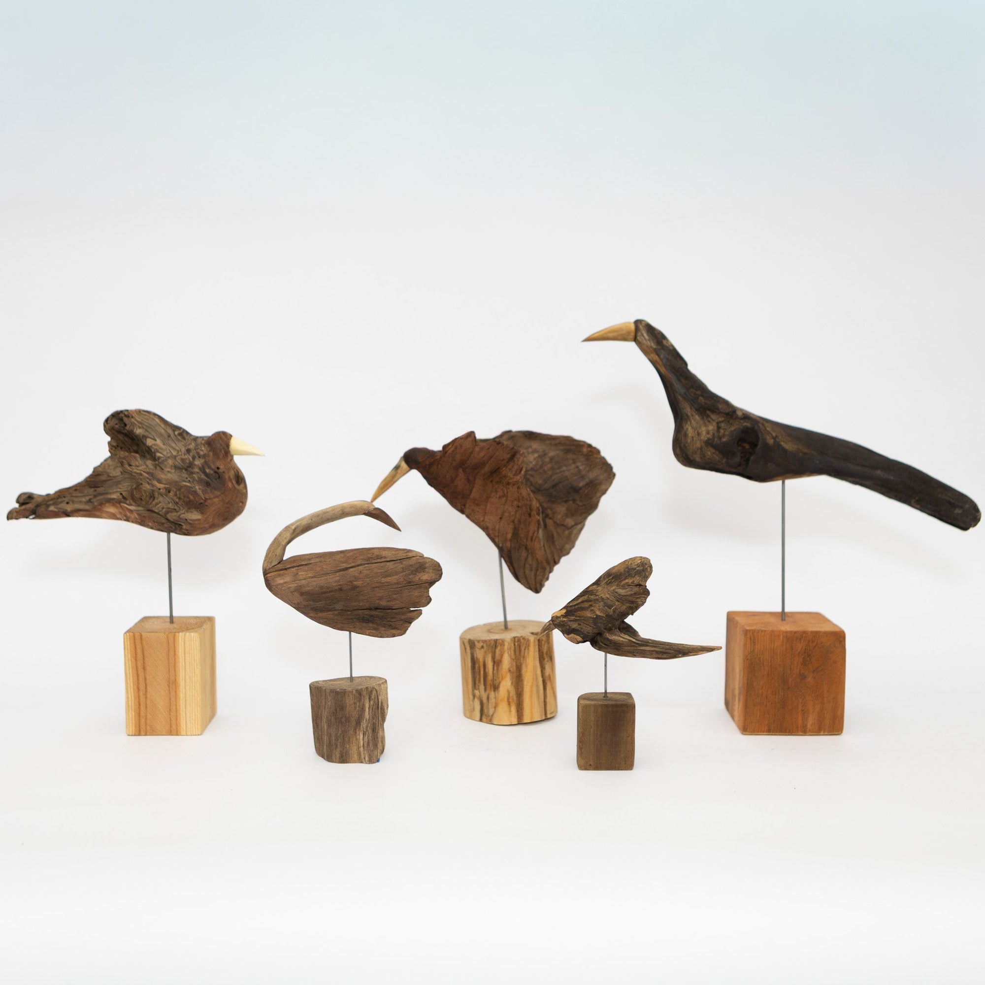 Osamu Harihara Driftwood Birds | Tortoise General Store