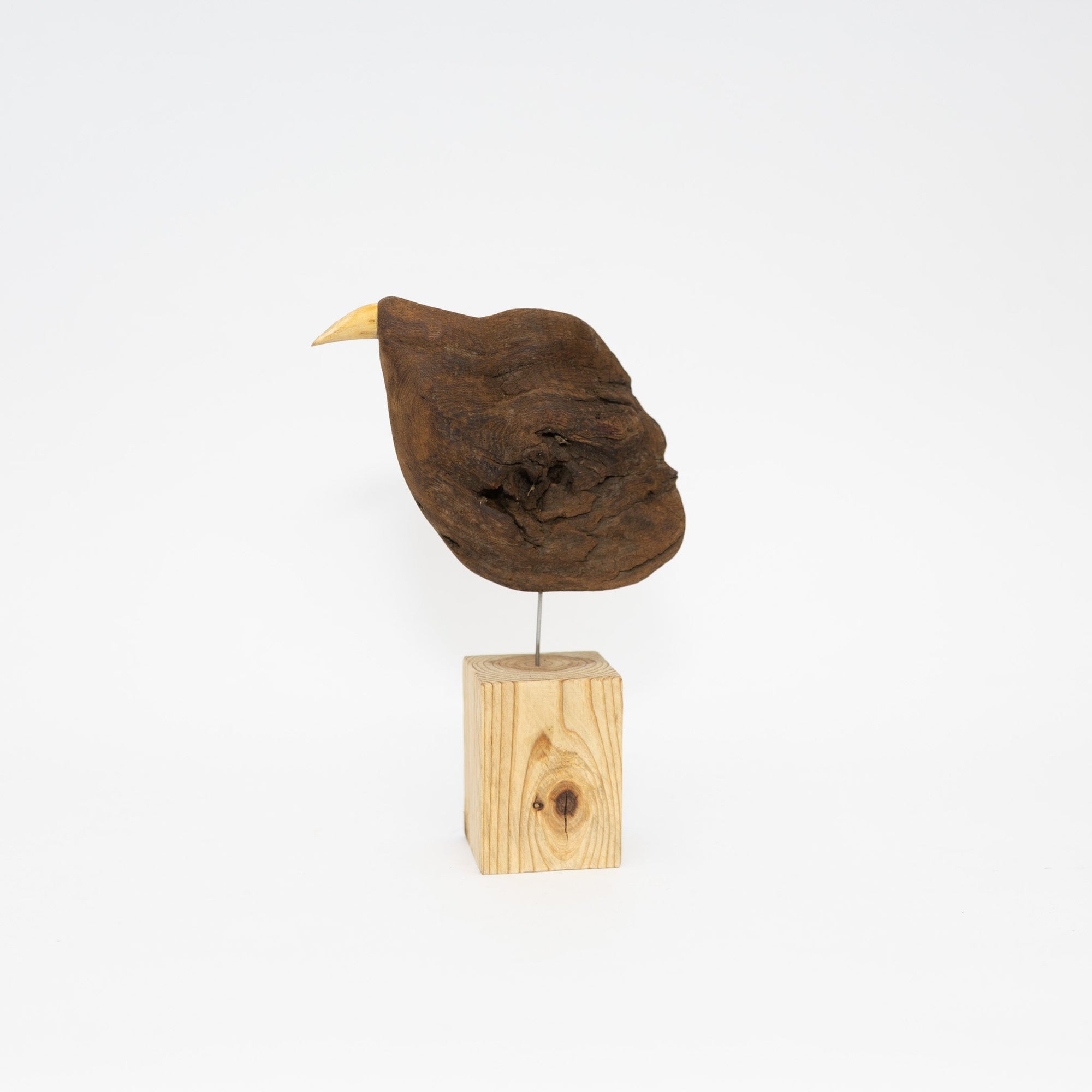 Osamu Harihara Driftwood Birds | Tortoise General Store