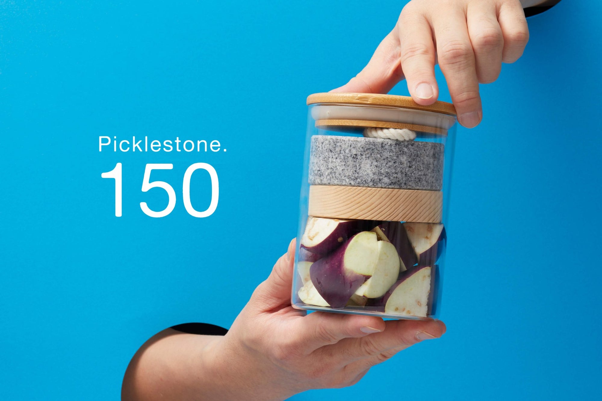 Picklestone - Preorder | Tortoise General Store