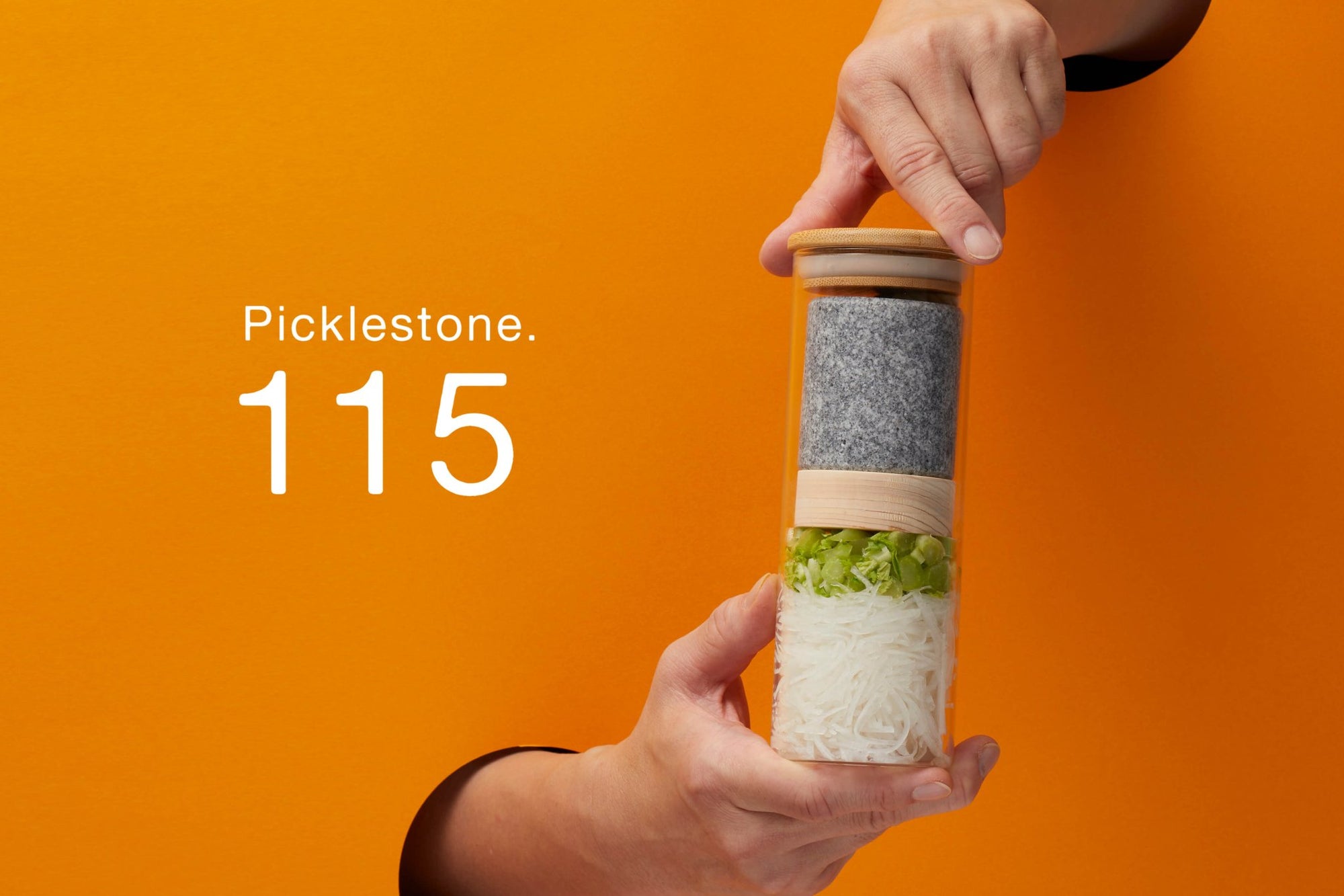 Picklestone - Preorder | Tortoise General Store