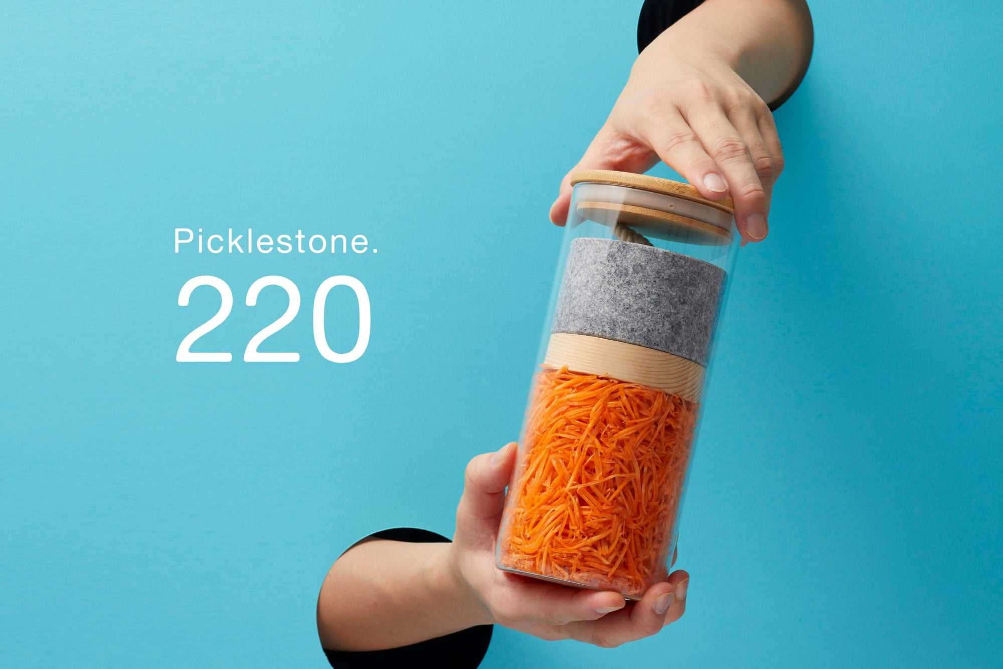 Picklestone - Preorder | Tortoise General Store