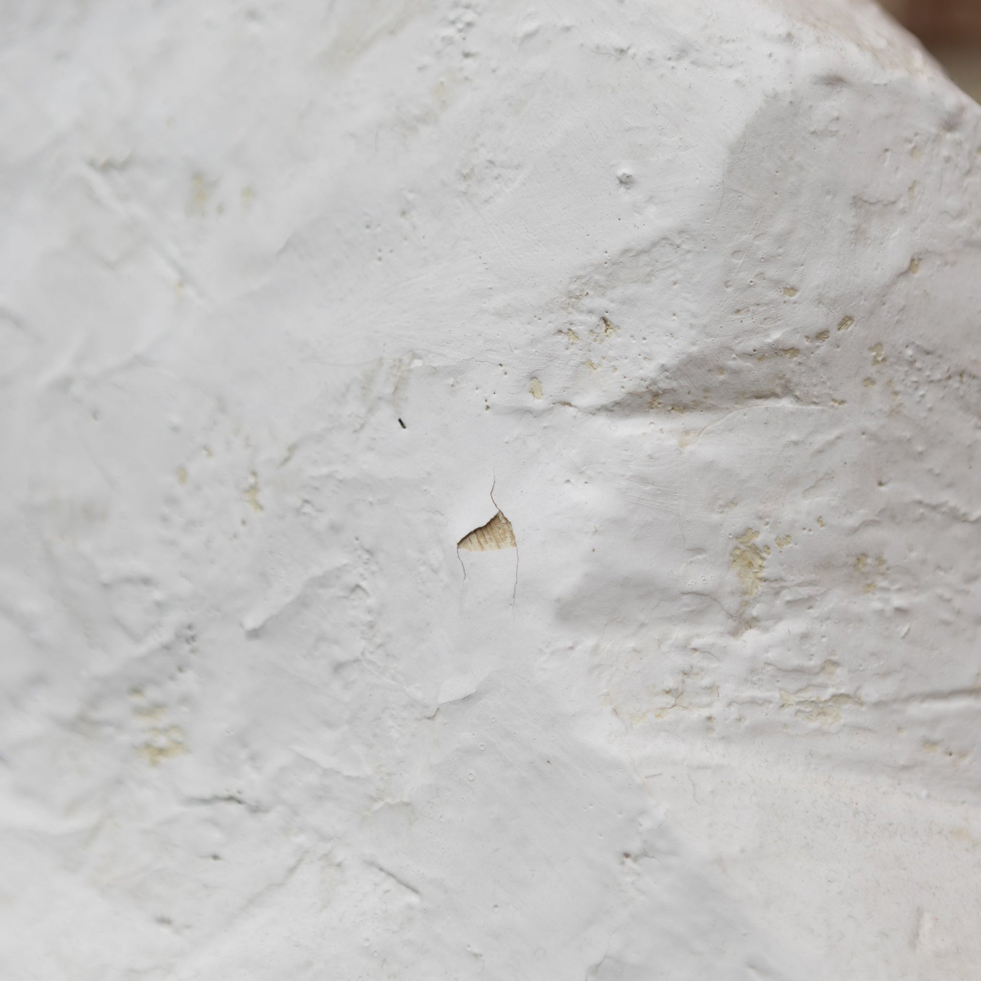 Ryosuke Yazaki - Fujichijyo - Hinoki Wood Sculpture | Tortoise General Store