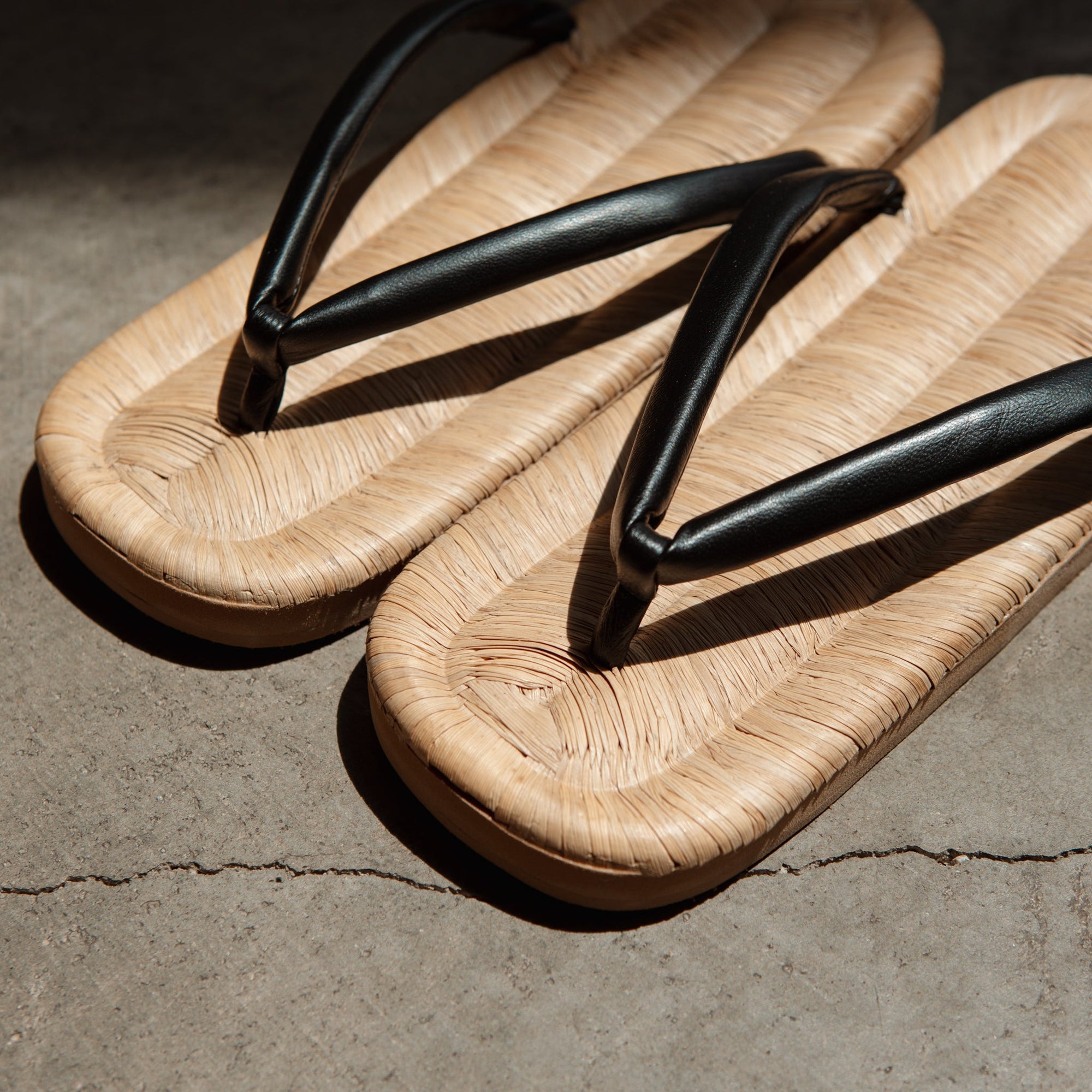 Sekizuka Natural Zouri | Tortoise General Store