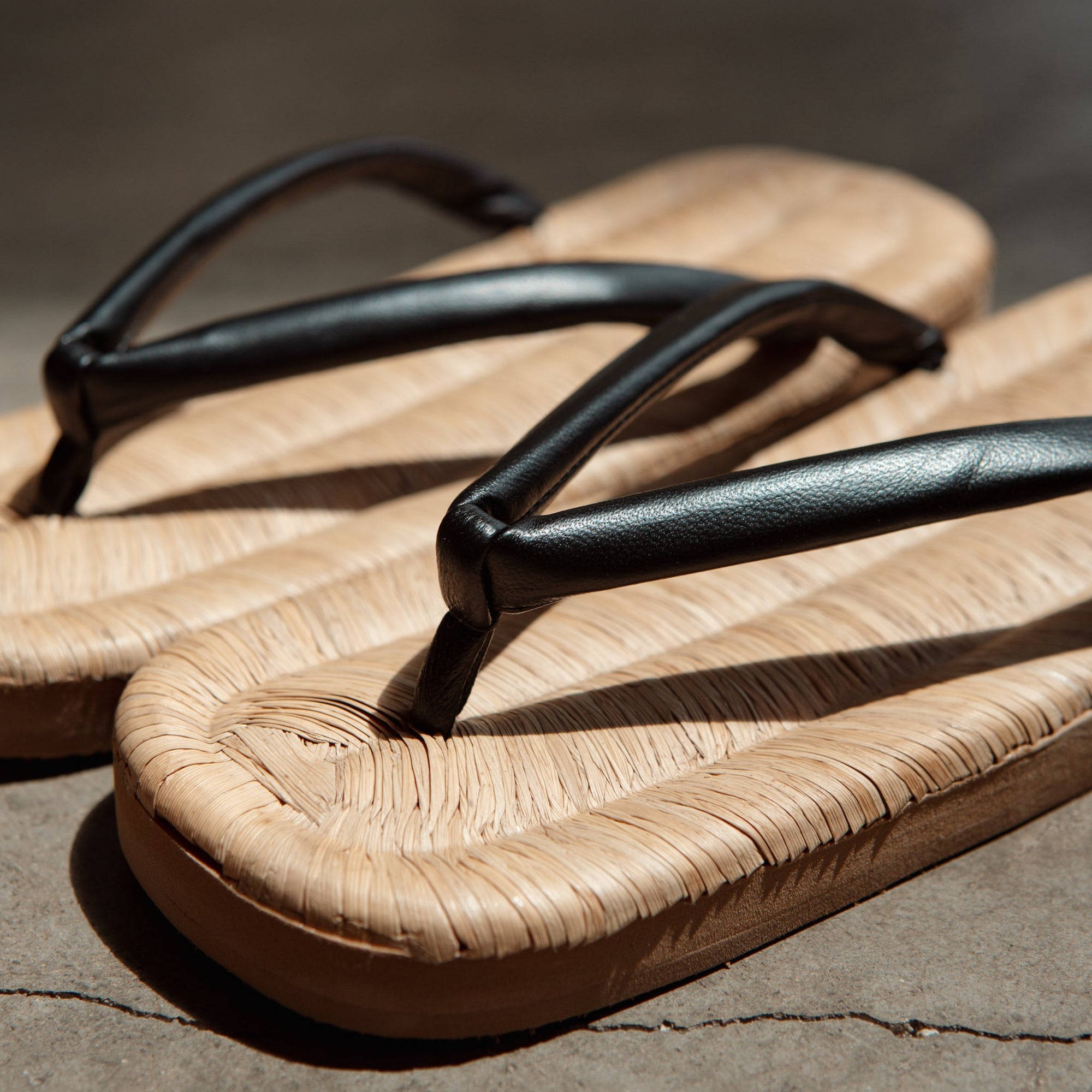 Sekizuka Natural Zouri | Tortoise General Store