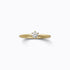 Shihara Classic Ring 02 | Tortoise General Store