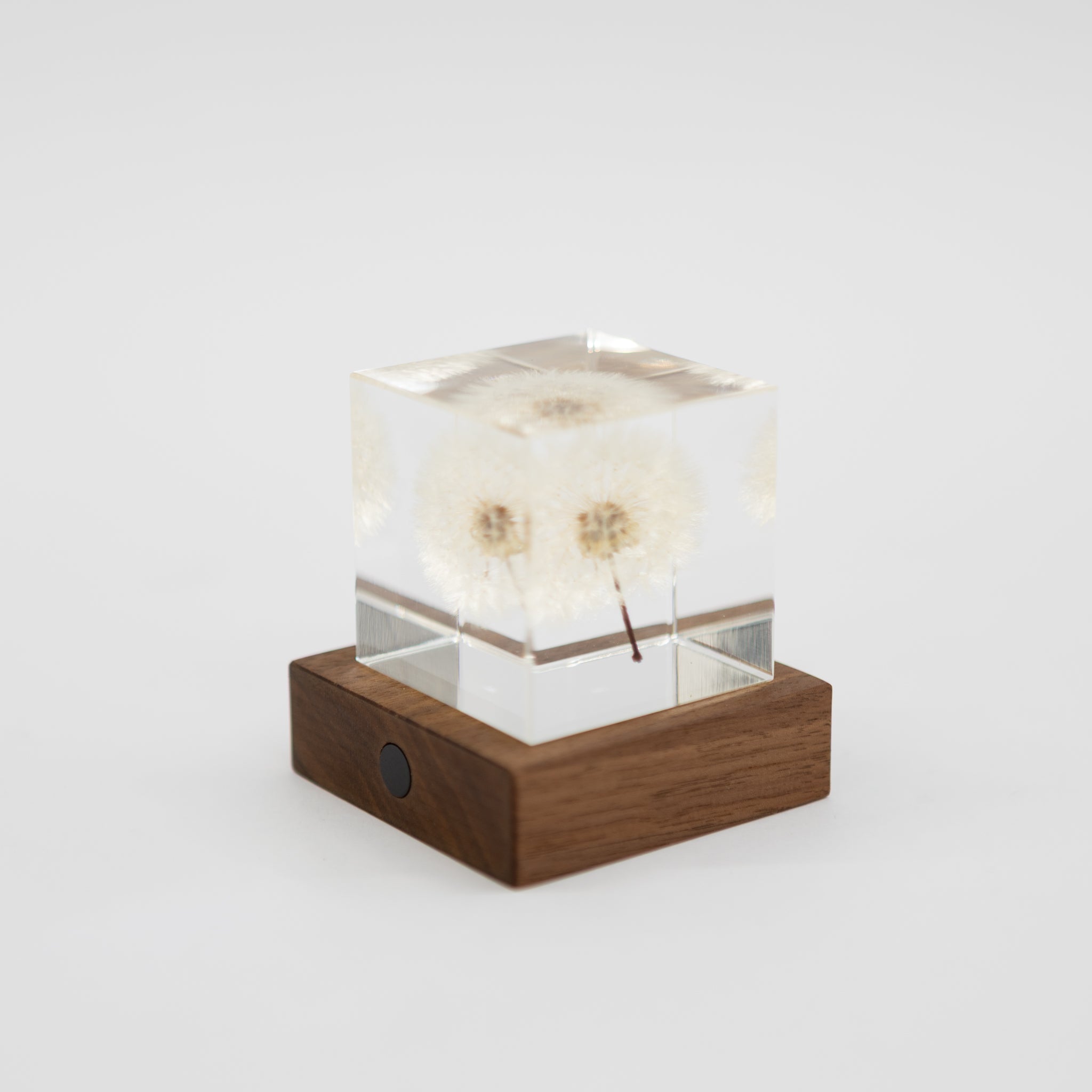 Sola Cube Walnut Light Base – tortoise general store