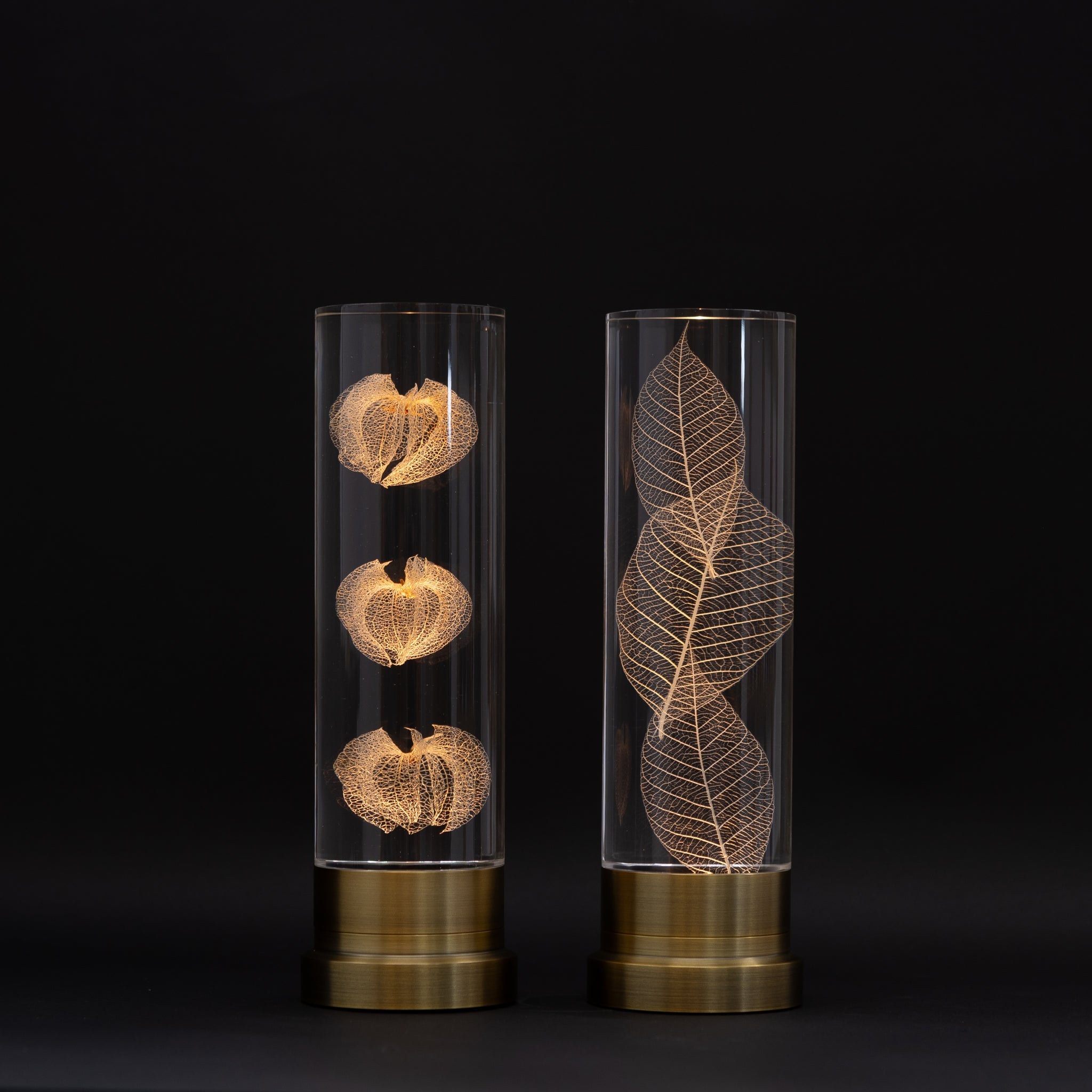 Sola Cube Collection – tortoise general store