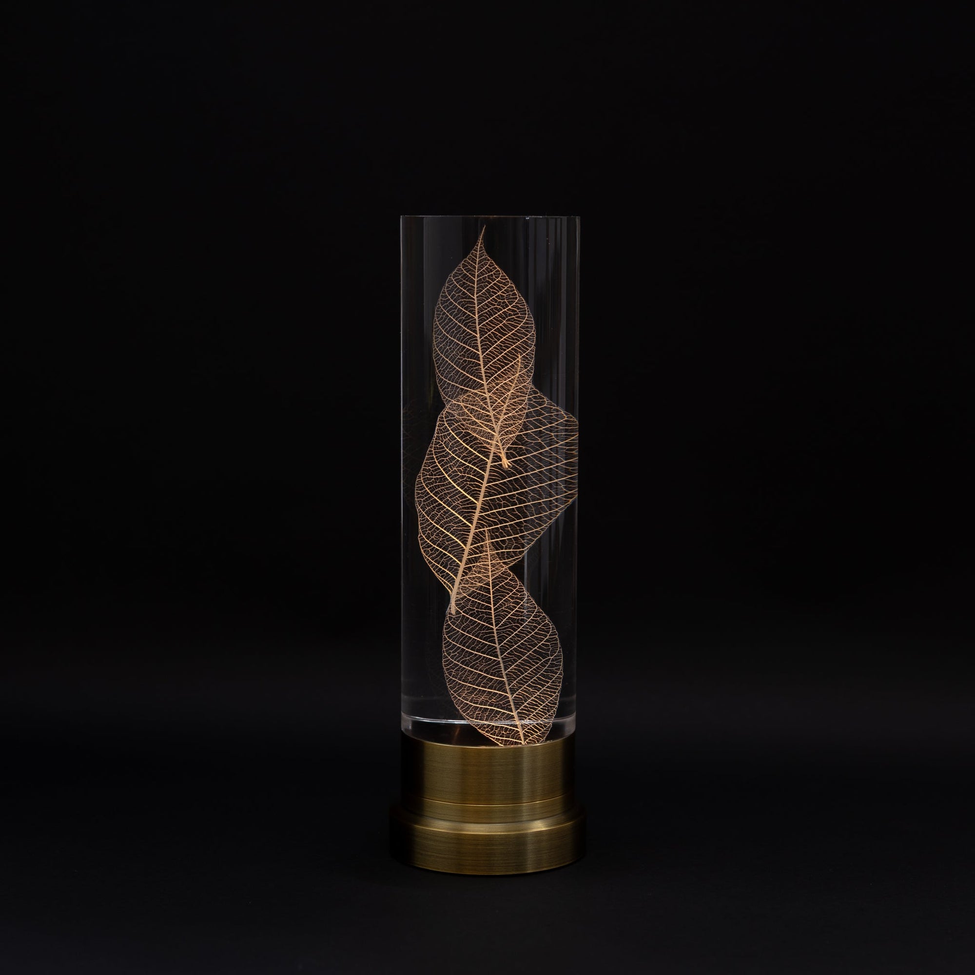 Sola Lume | Tortoise General Store