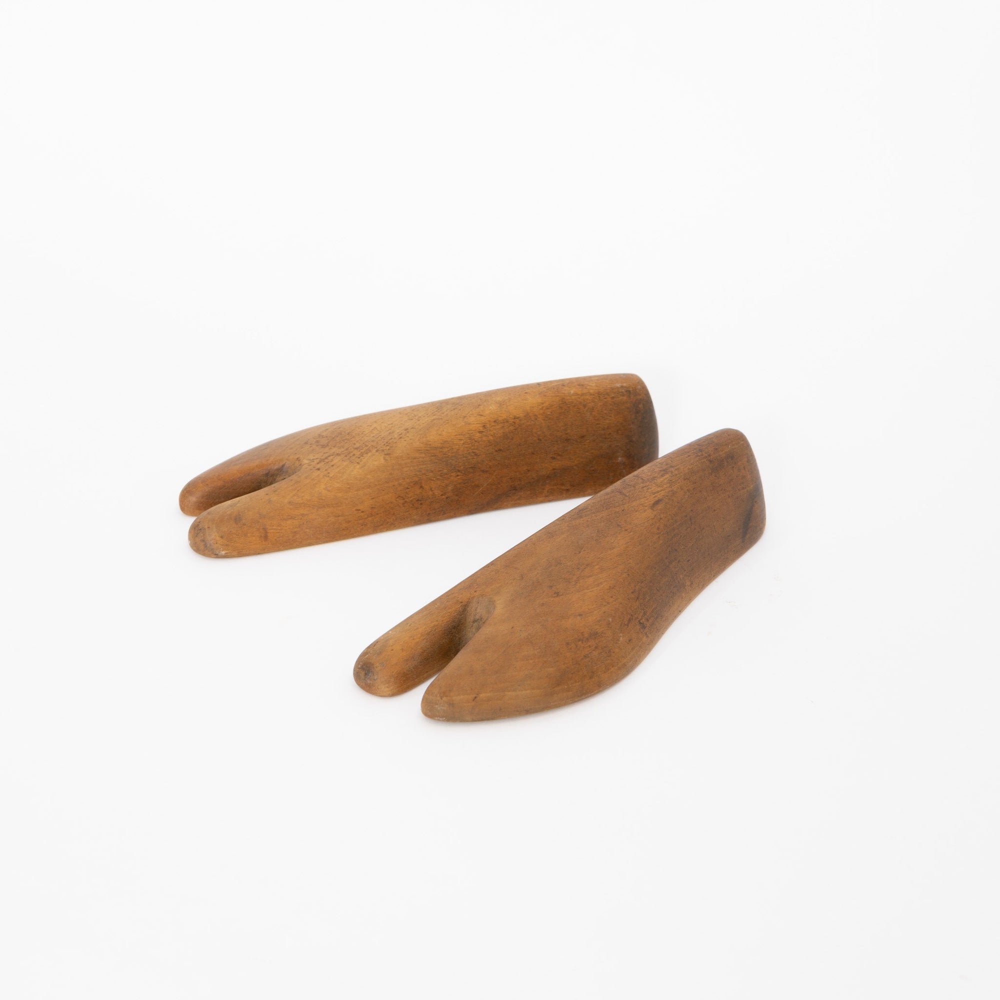 Tabi Mold | Tortoise General Store