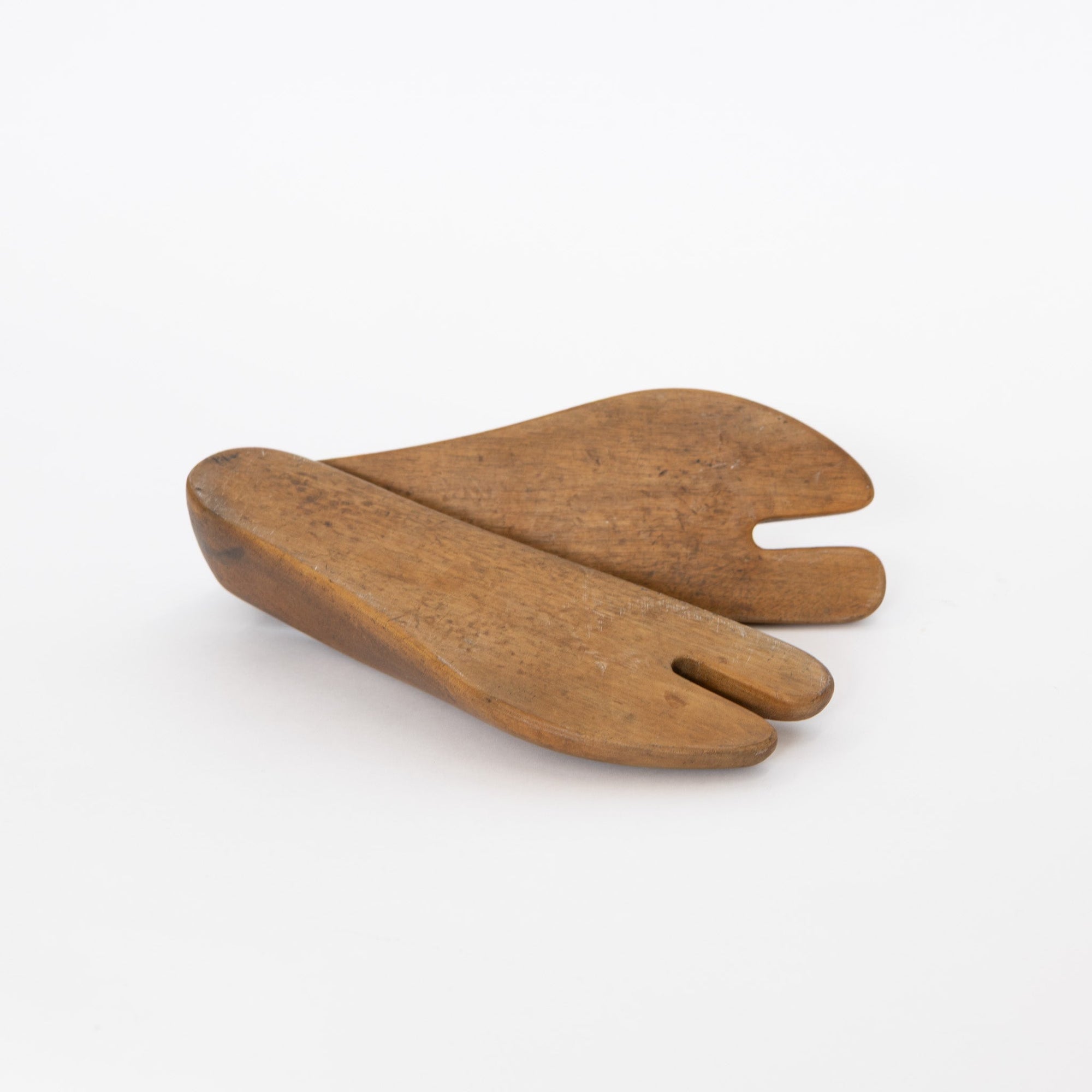 Tabi Mold | Tortoise General Store