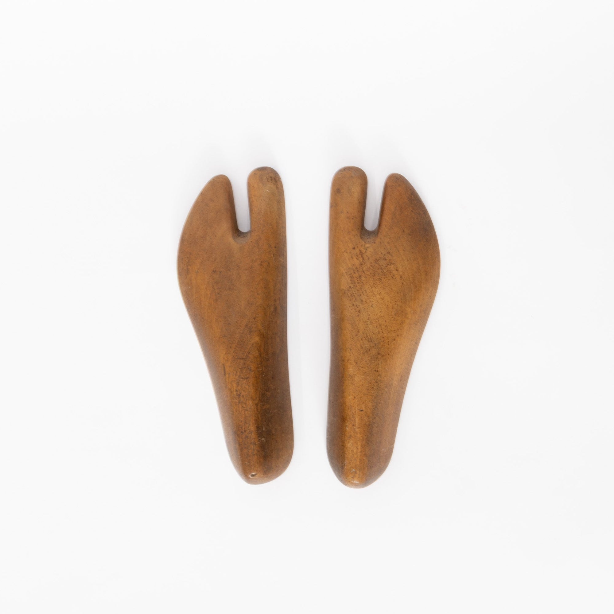 Tabi Mold | Tortoise General Store