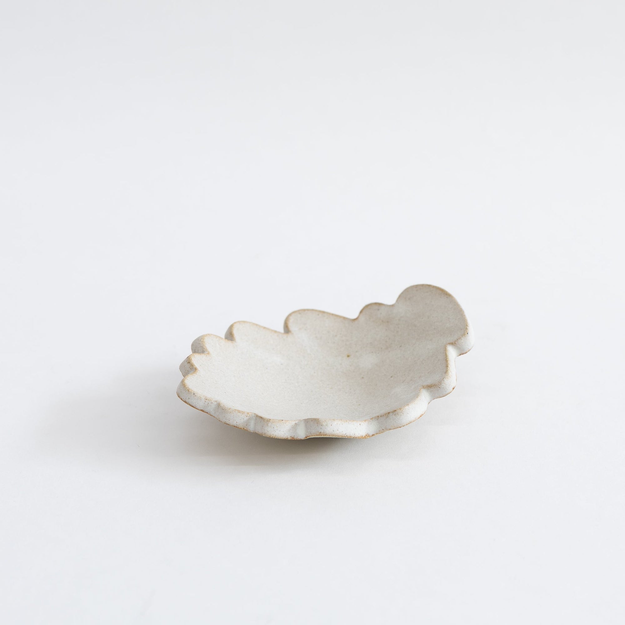 Tomoro Fog Plate | Tortoise General Store