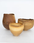 Wooden Bowl Sculpture by Kenji Usuda | Tortoise General Store