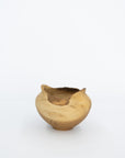 Wooden Bowl Sculpture by Kenji Usuda | Tortoise General Store