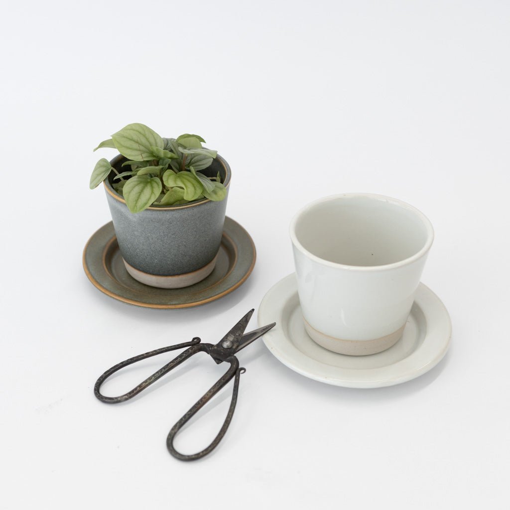 WRF Small Planter & Saucer Set | Tortoise General Store