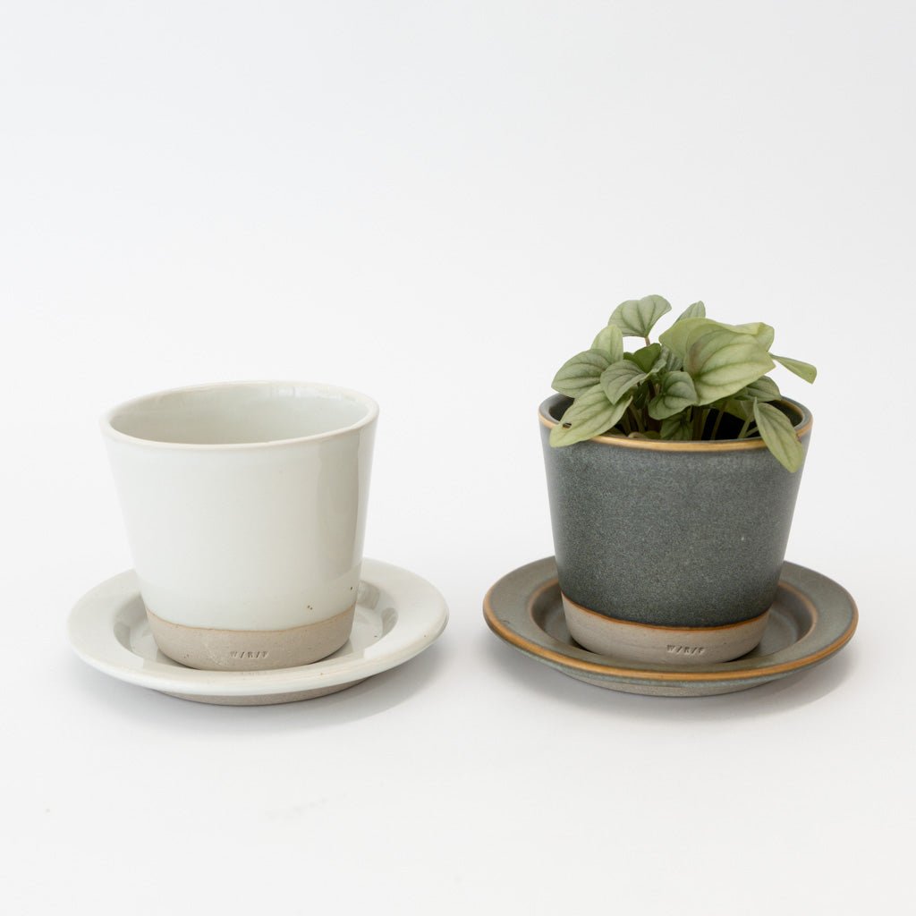 WRF Small Planter & Saucer Set | Tortoise General Store