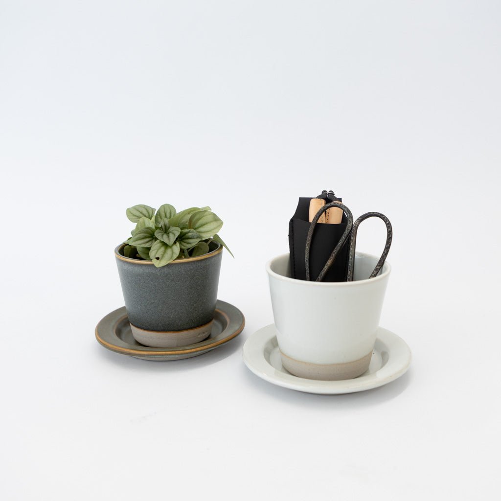 planter and saucer set WRF Small Planter & Saucer Set