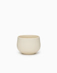 Chanoma Ivory Tea Cup | Tortoise General Store