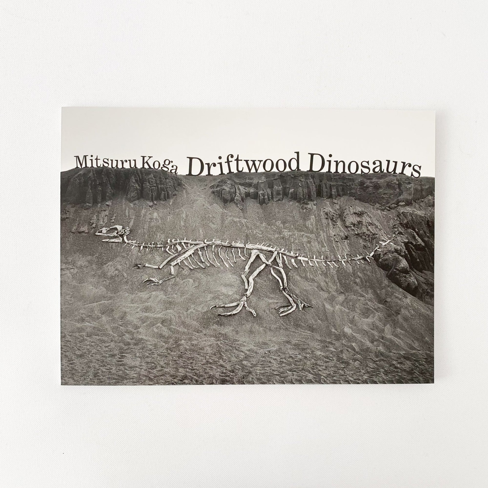 Driftwood Dinosaurs by Mitsuru Koga - tortoise general store