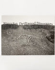 Driftwood Dinosaurs by Mitsuru Koga - tortoise general store