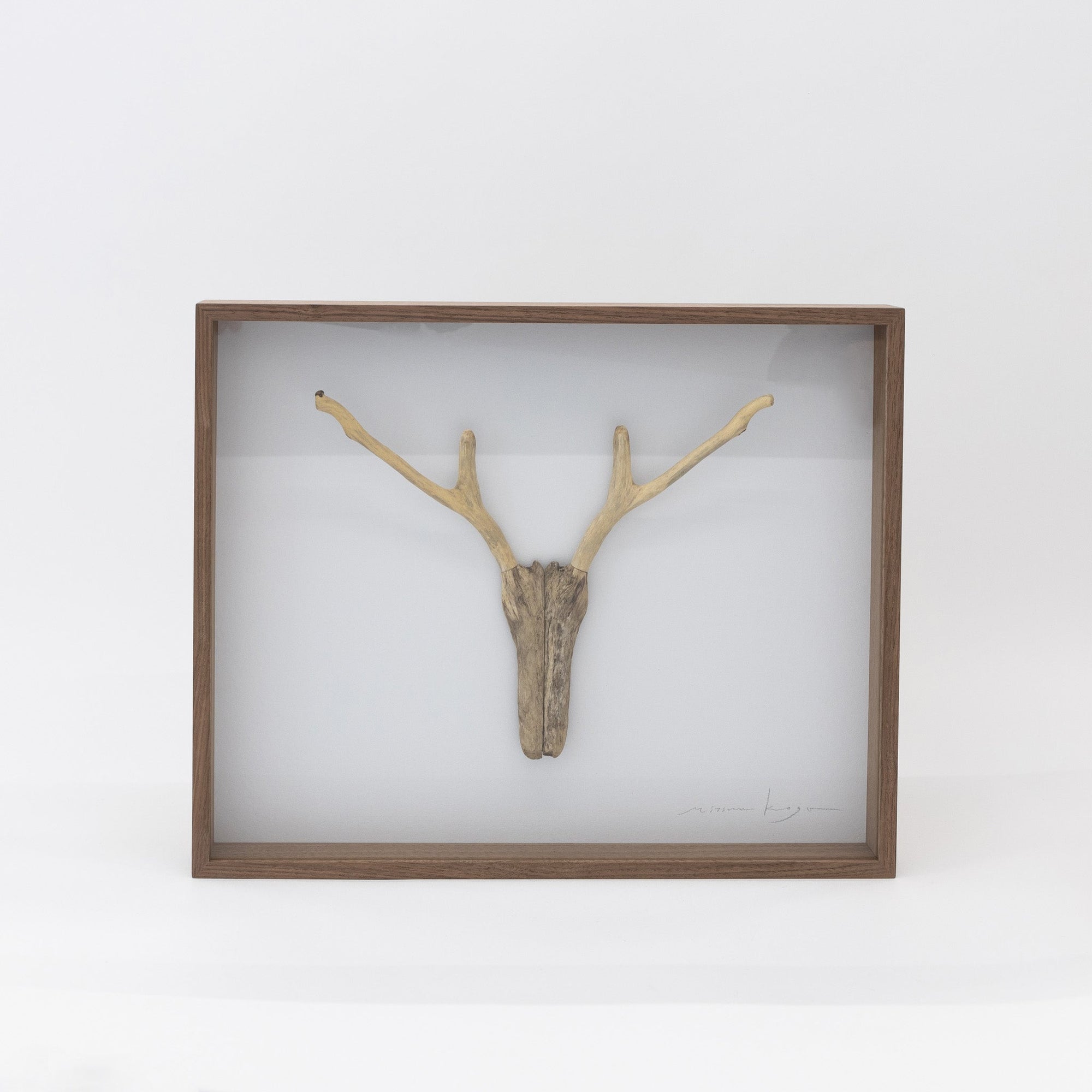 Driftwood Hunting Trophy #1 (2024) by Mitsuru Koga | Tortoise General Store