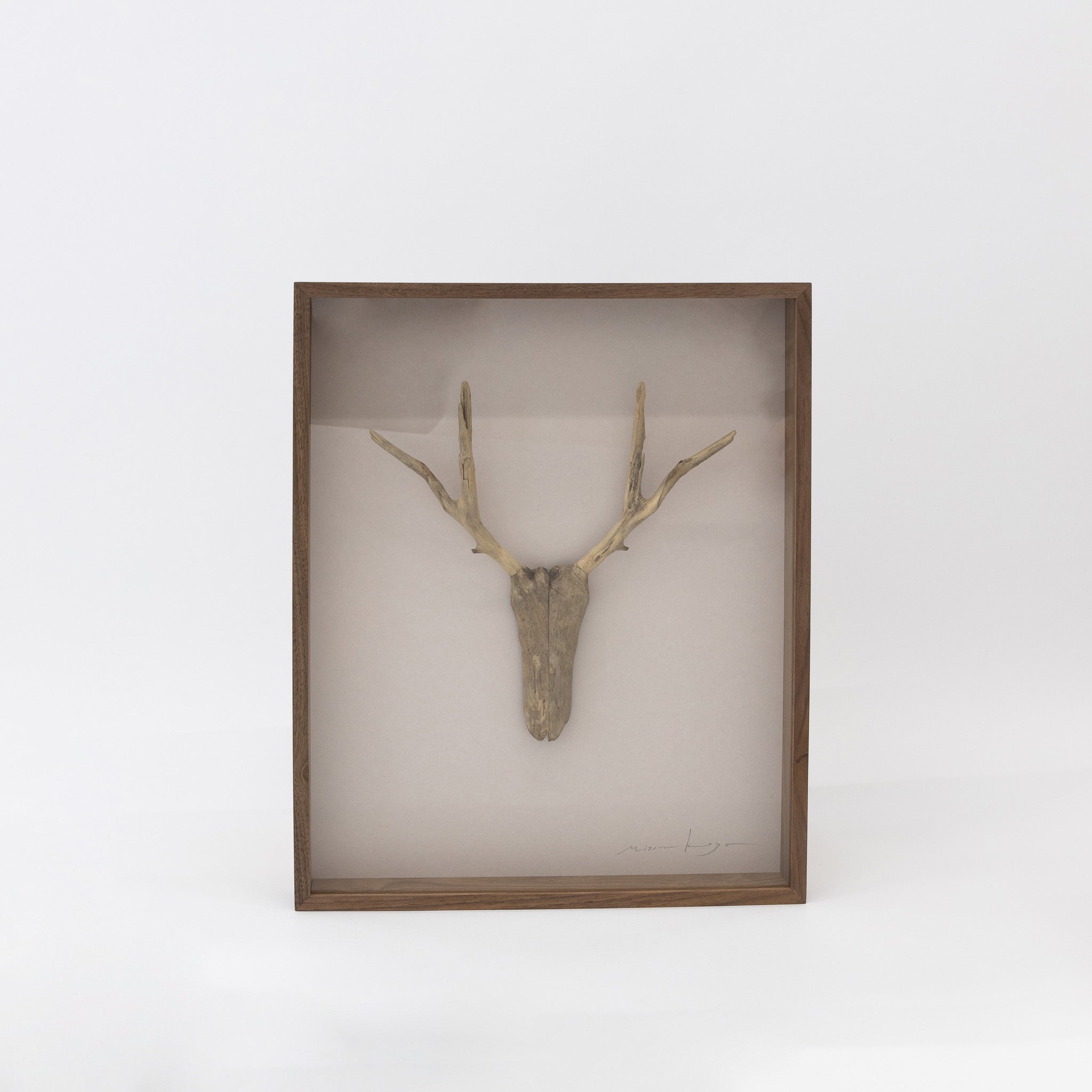 Driftwood Hunting Trophy #3 (2024) by Mitsuru Koga | Tortoise General Store