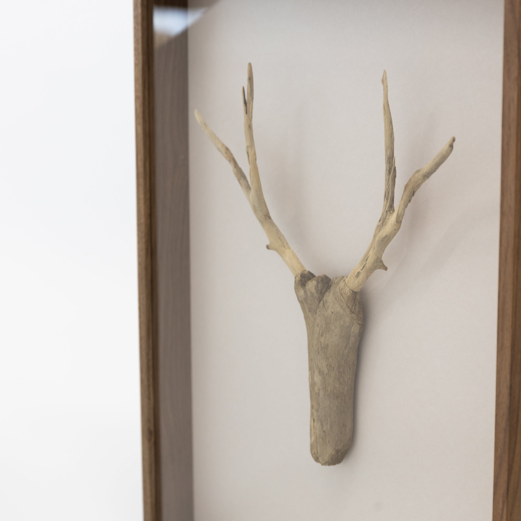 Driftwood Hunting Trophy 
