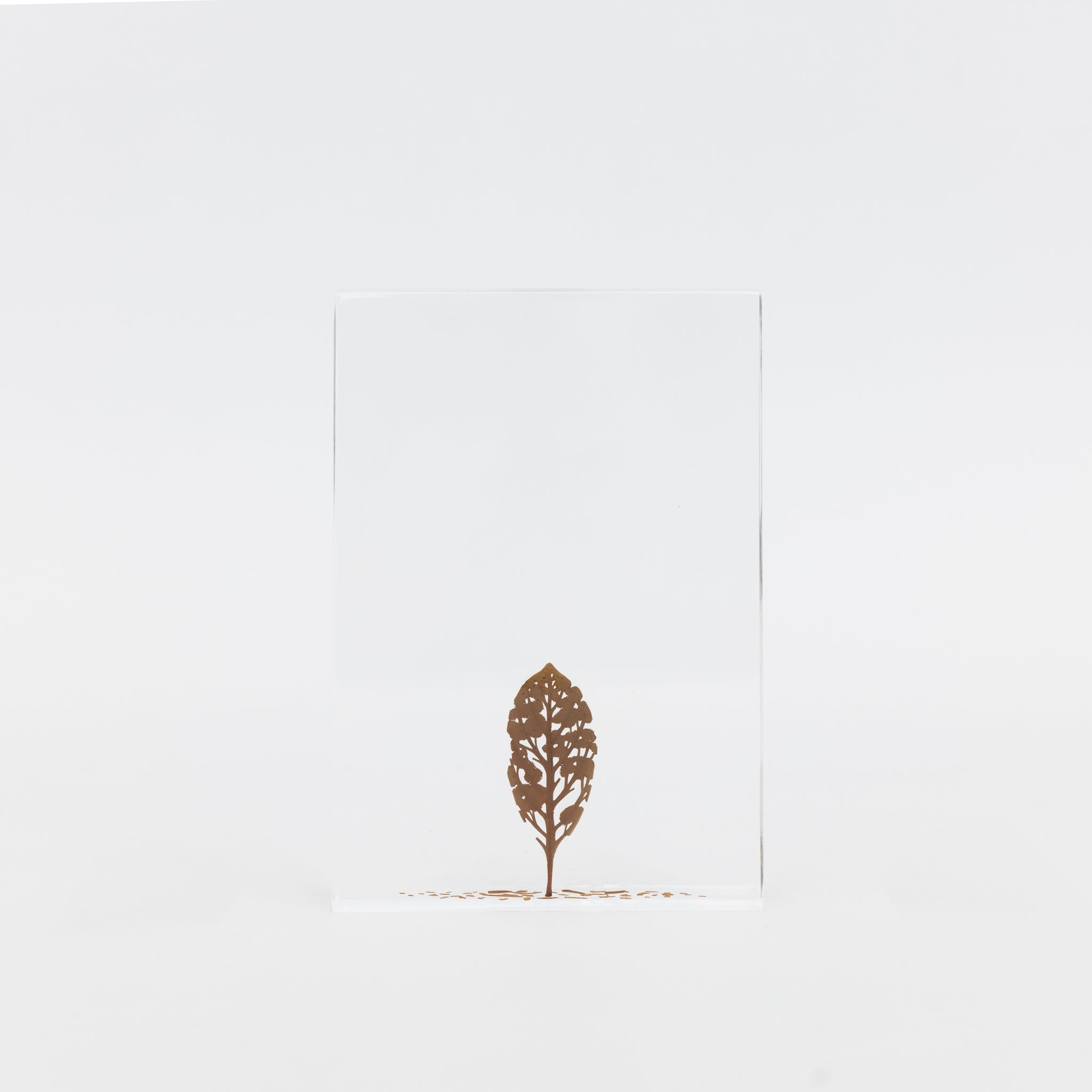 Fallen Leaves (2024) by Mitsuru Koga | Tortoise General Store