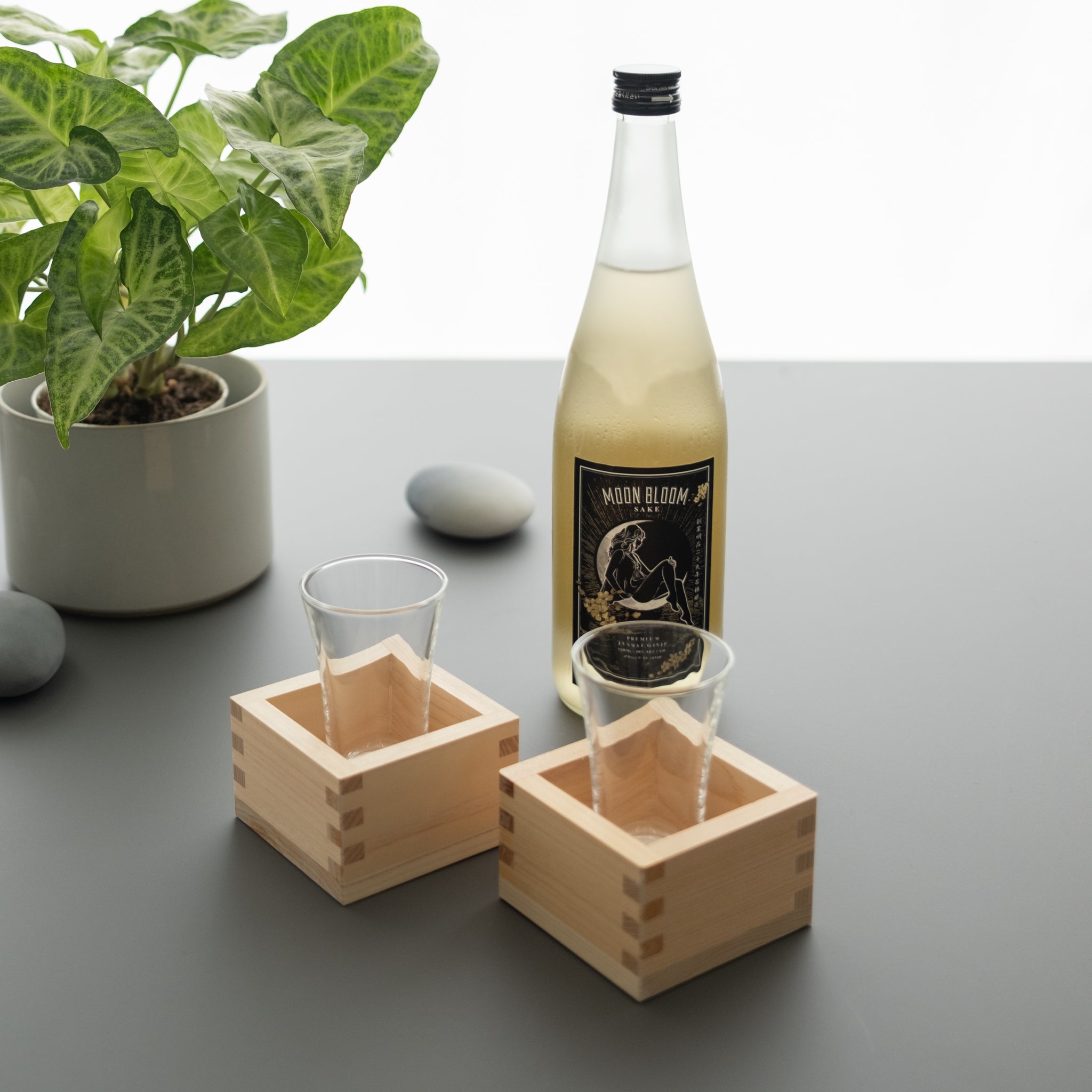 Hinoki Kimasu Sake Drinking Box | Tortoise General Store