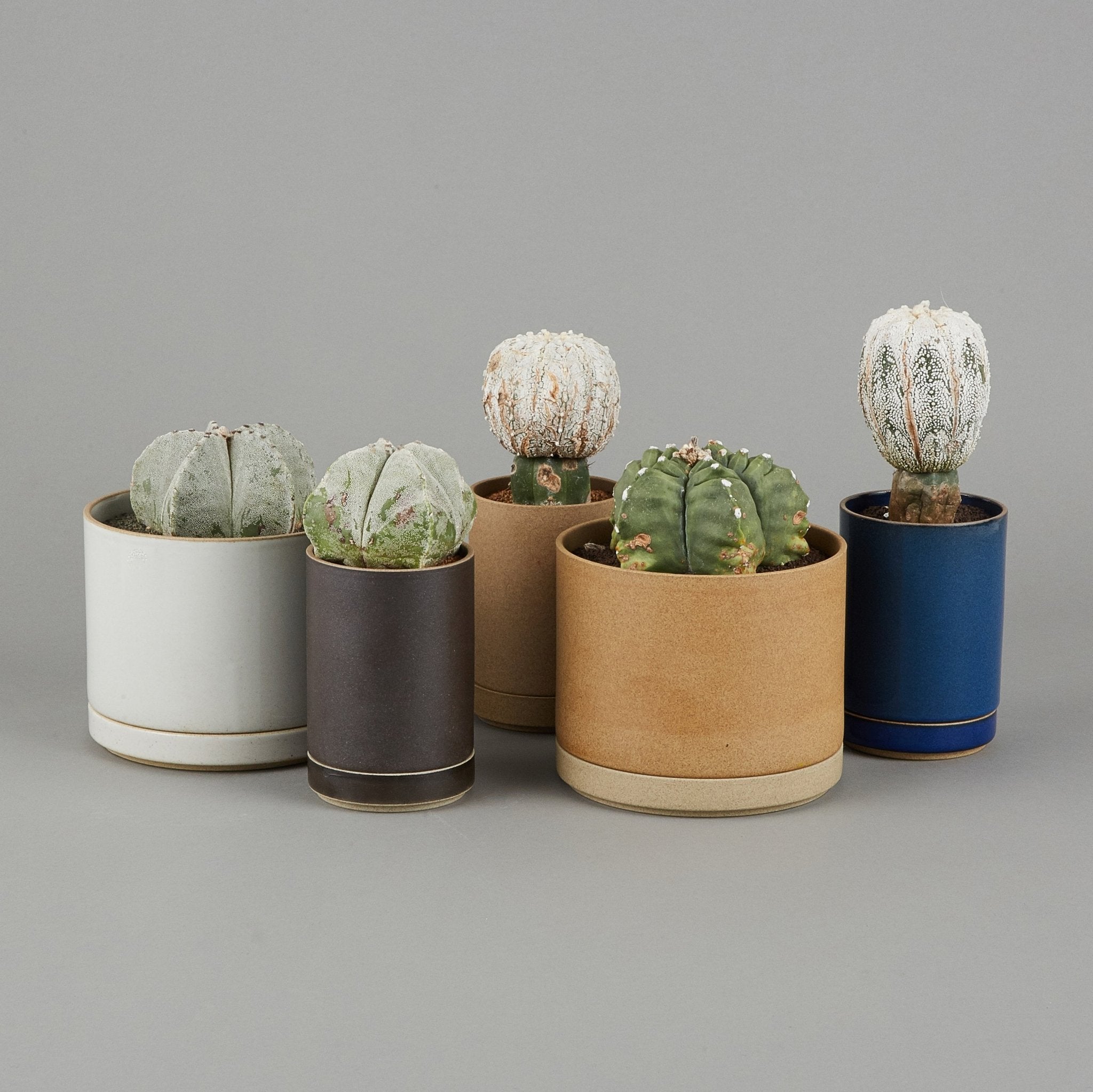 HPM045 - Planter Gloss Gray ø 5.5/8" - tortoise general store