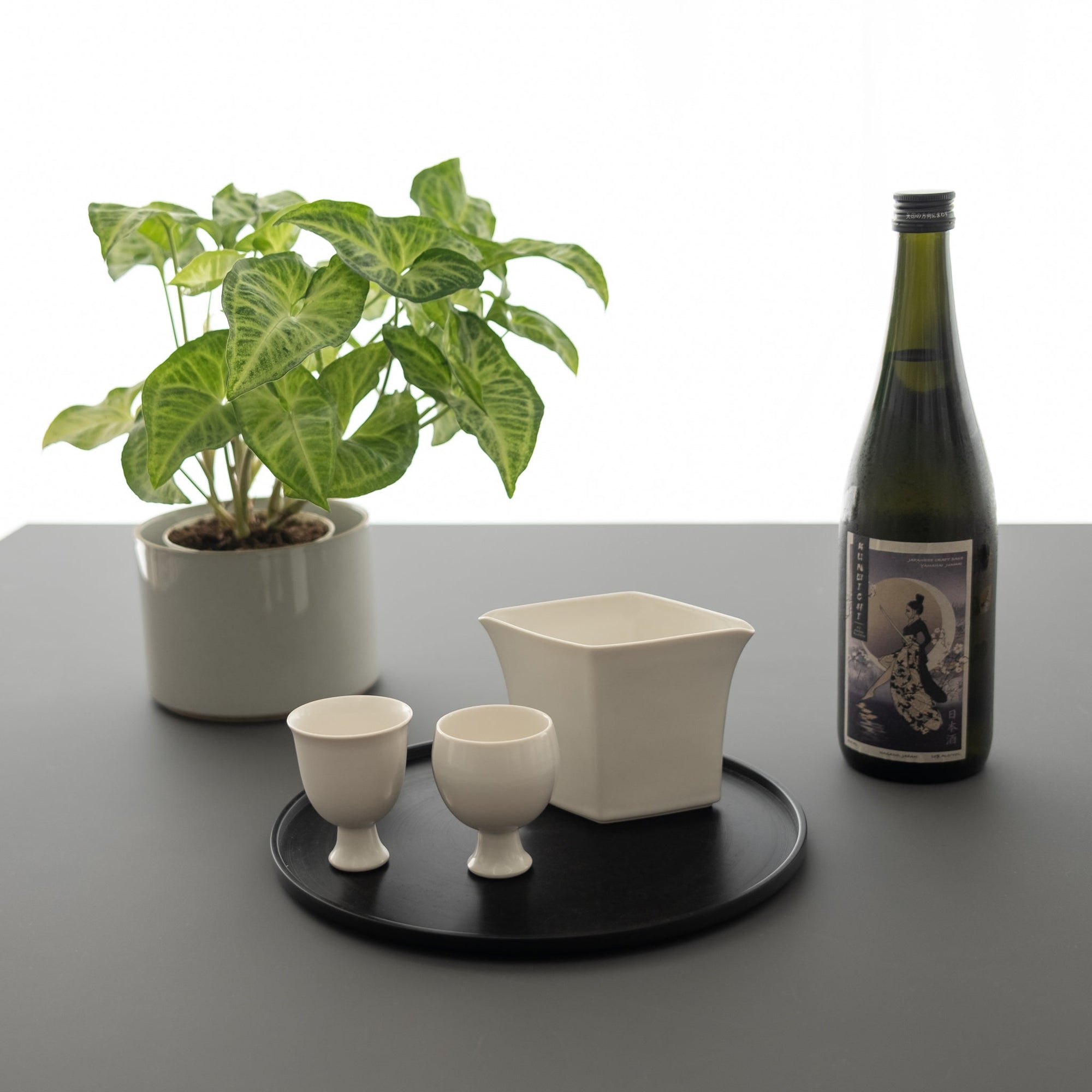 Jicon Sake Vessels and Pitcher | Tortoise General Store