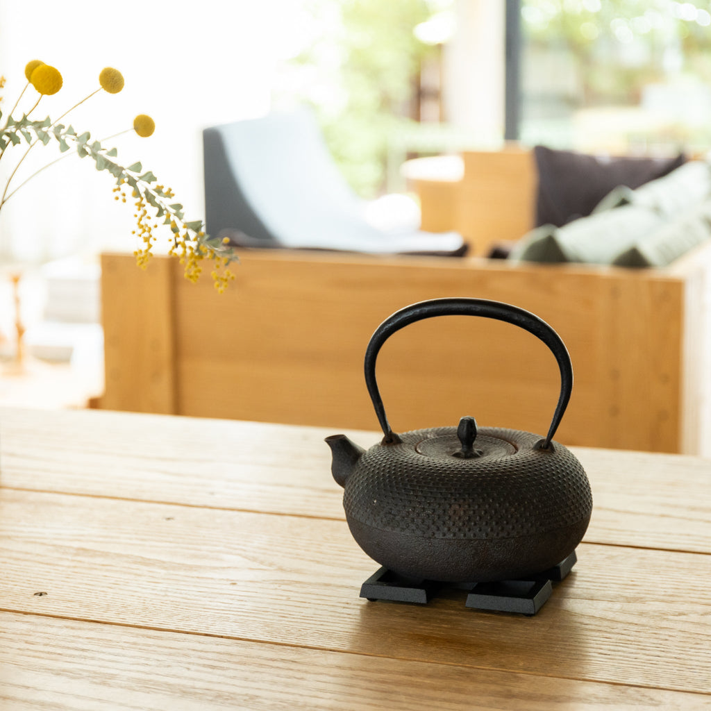 Kamasada Iron Kettles Tortoise General Store