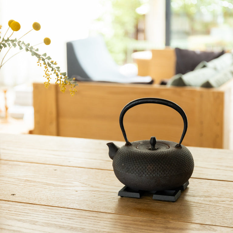 Kamasada Iron Kettles Tortoise General Store