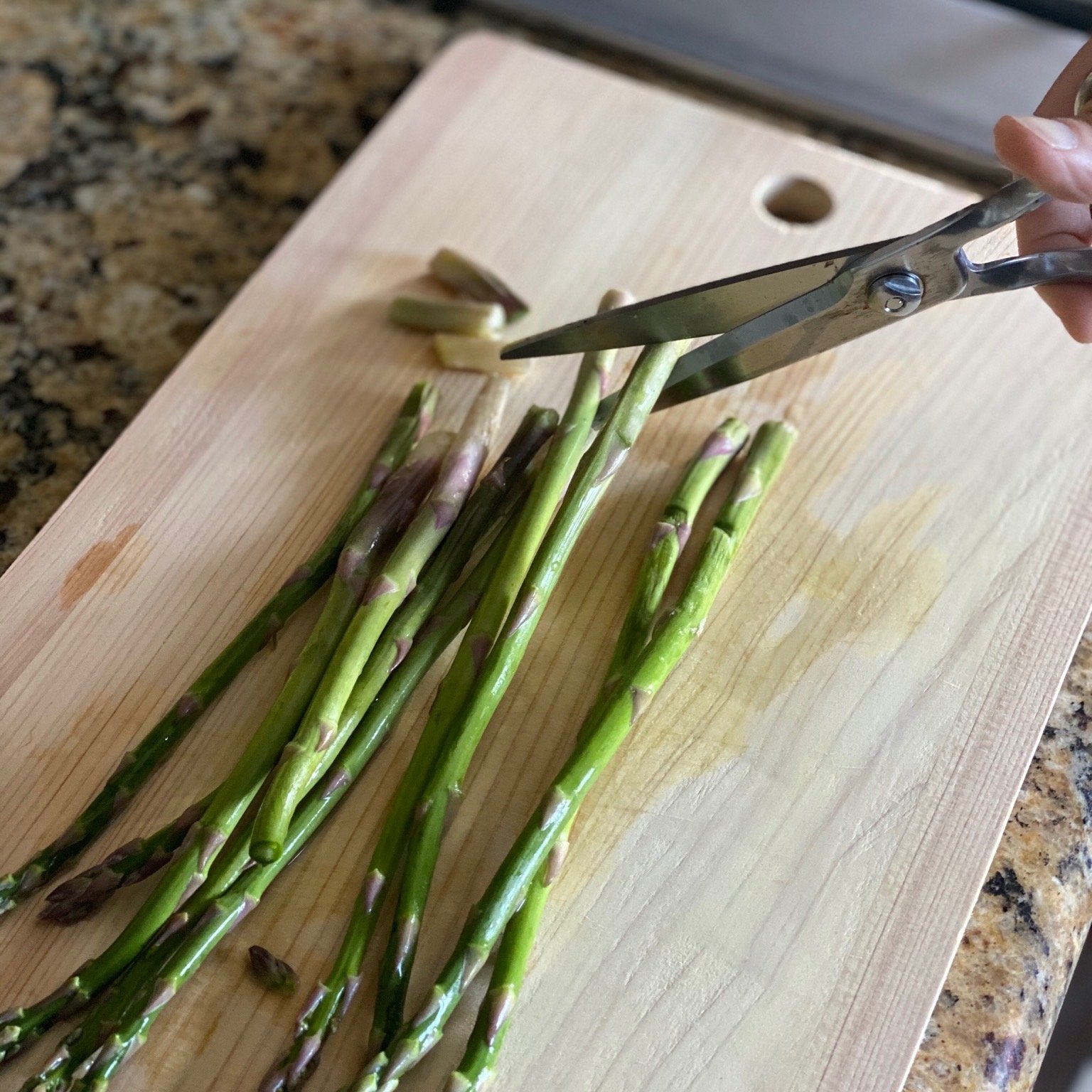 Kitchen Scissors Toribe (TS750) - tortoise general store