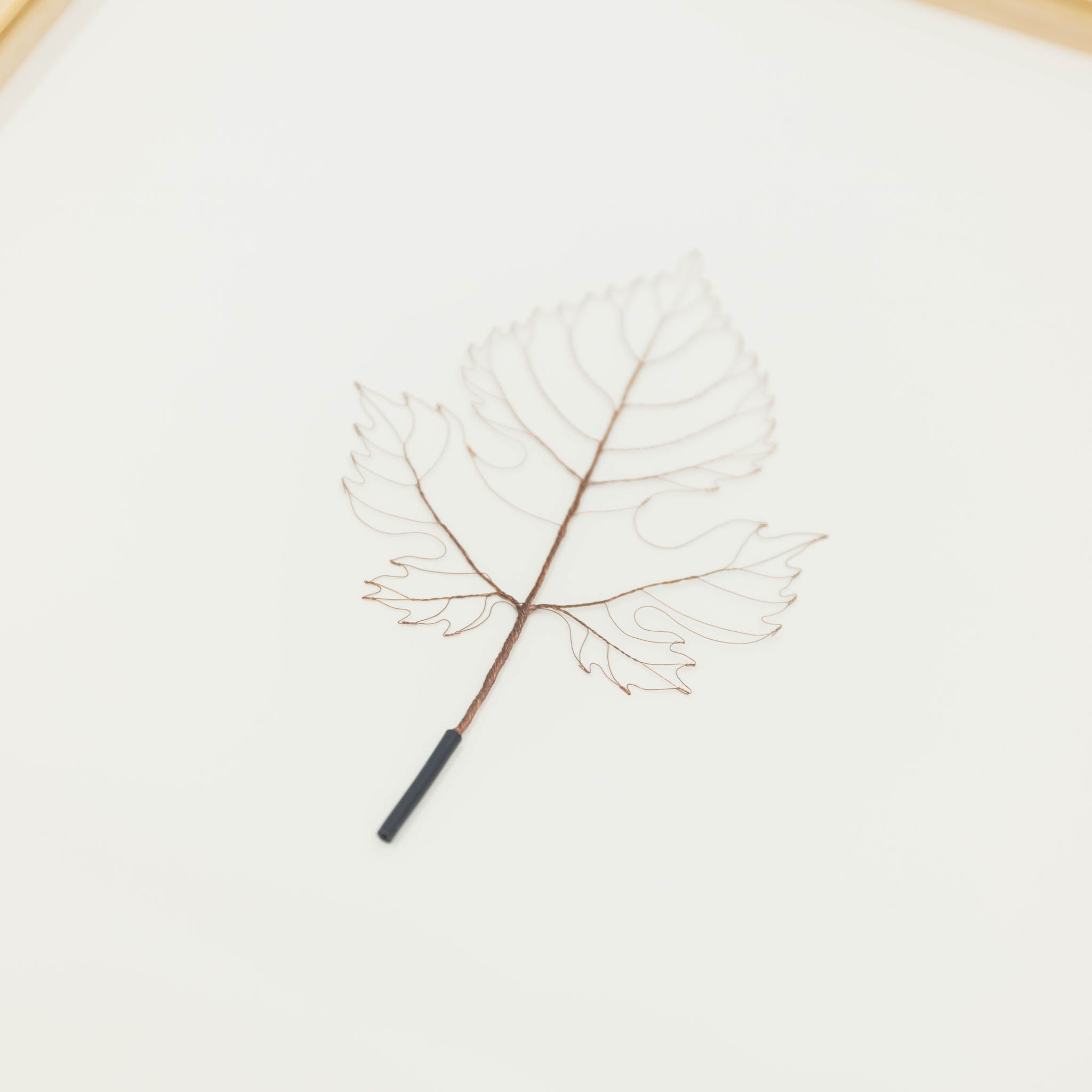 Mitsuru Koga Copper Wire Leaf, 2022 | Tortoise General Store