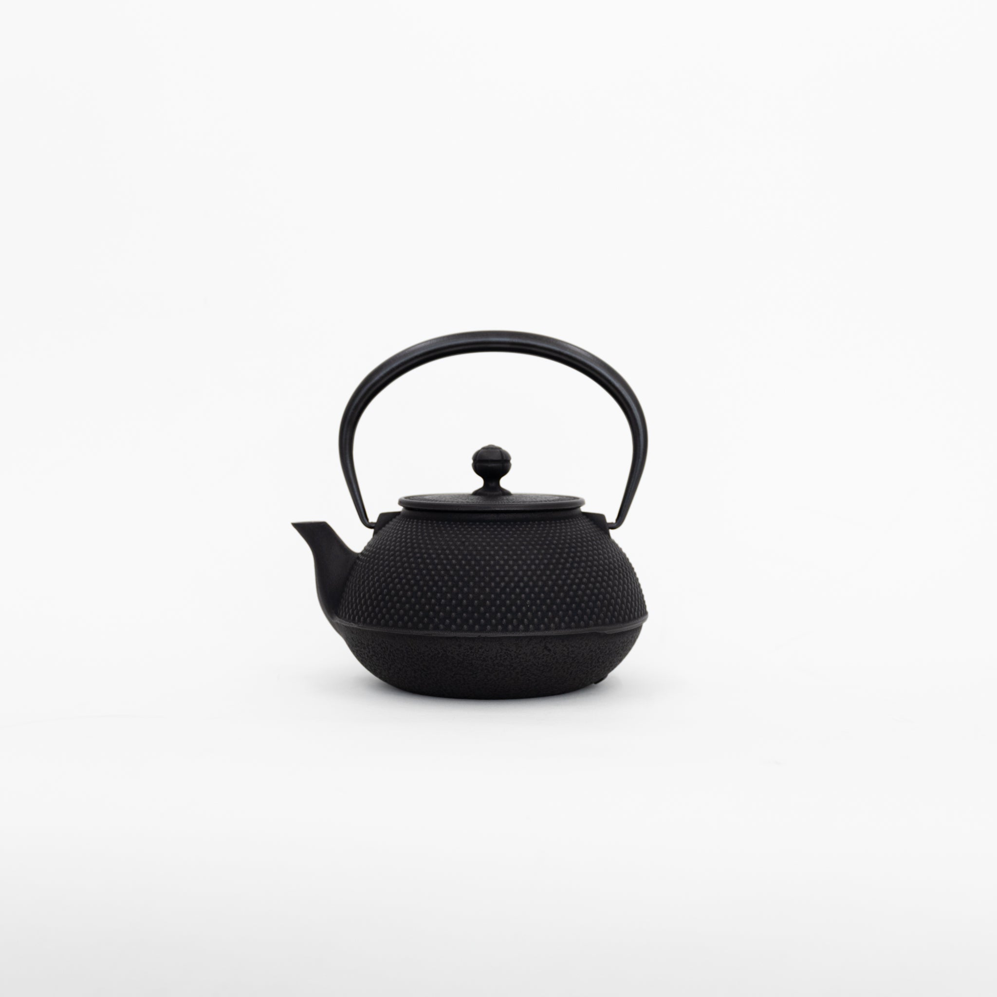 Nambu Tekki Cast Iron Teapot with Strainer - Arare | Tortoise