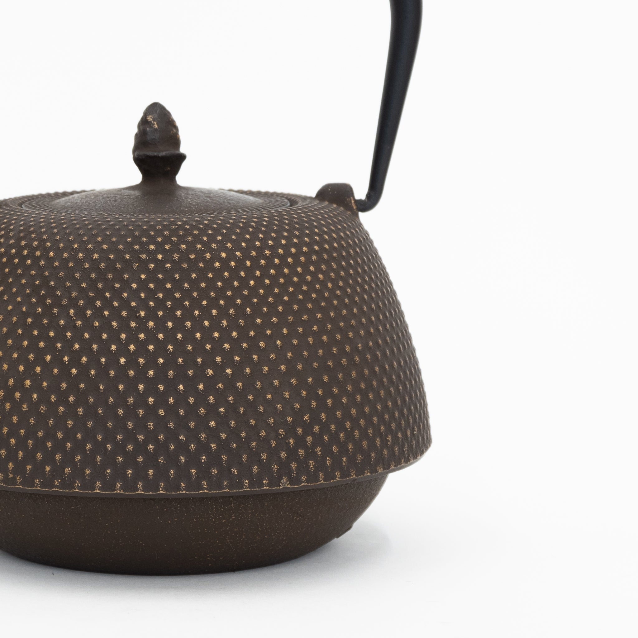 Nambu Tekki Cast Iron Teapot with Strainer - Arare | Tortoise