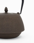 Nanbu Tekki Cast Iron Teapot with Strainer - Arare | Tortoise General Store