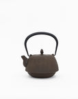 Nanbu Tekki Cast Iron Teapot with Strainer - Arare | Tortoise General Store