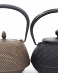 Nanbu Tekki Cast Iron Teapot with Strainer - Arare | Tortoise General Store