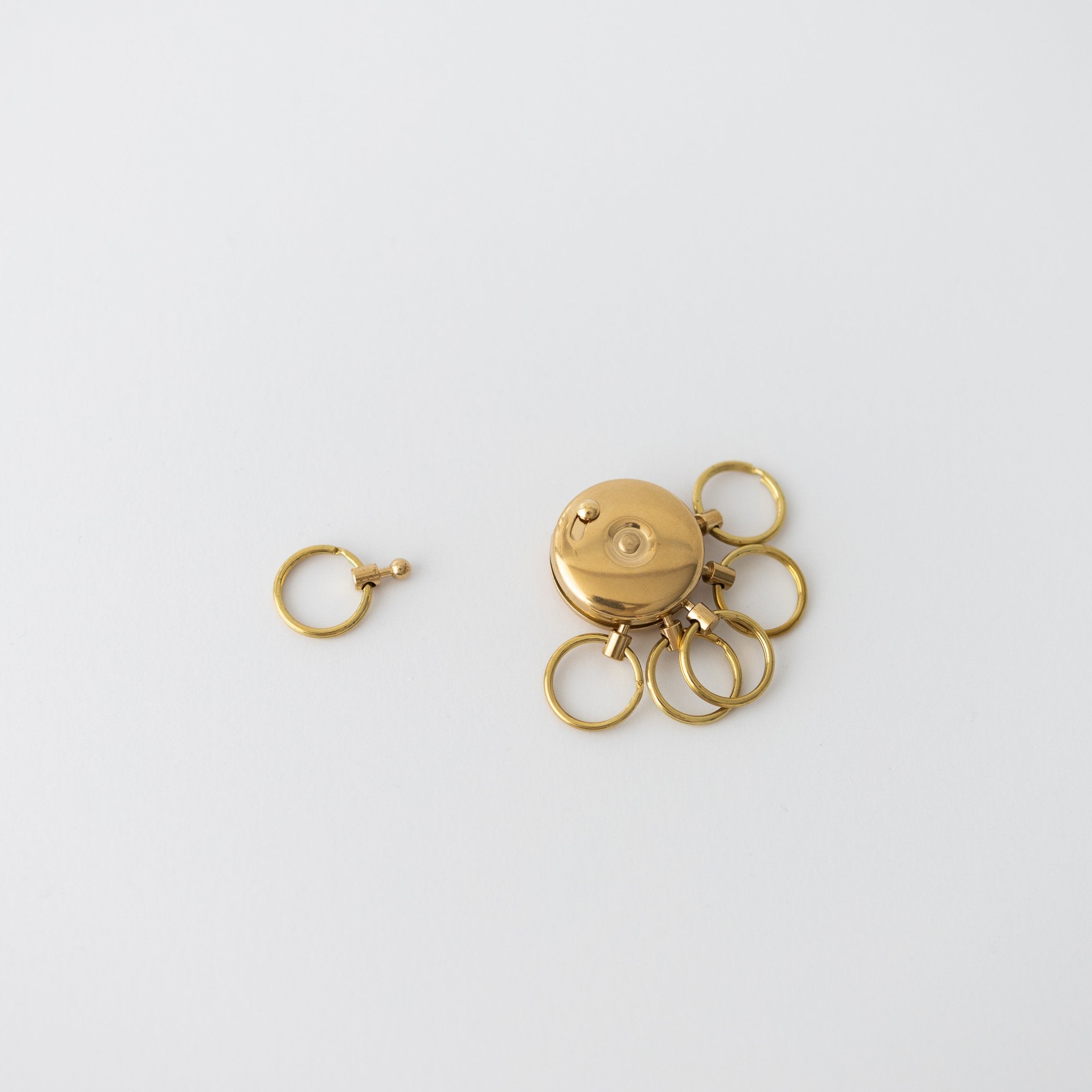 Octopus Brass Key Holder - tortoise general store