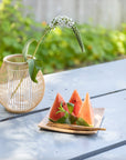 Orange Pine Natural Plywood Square Dish | Tortoise General Store