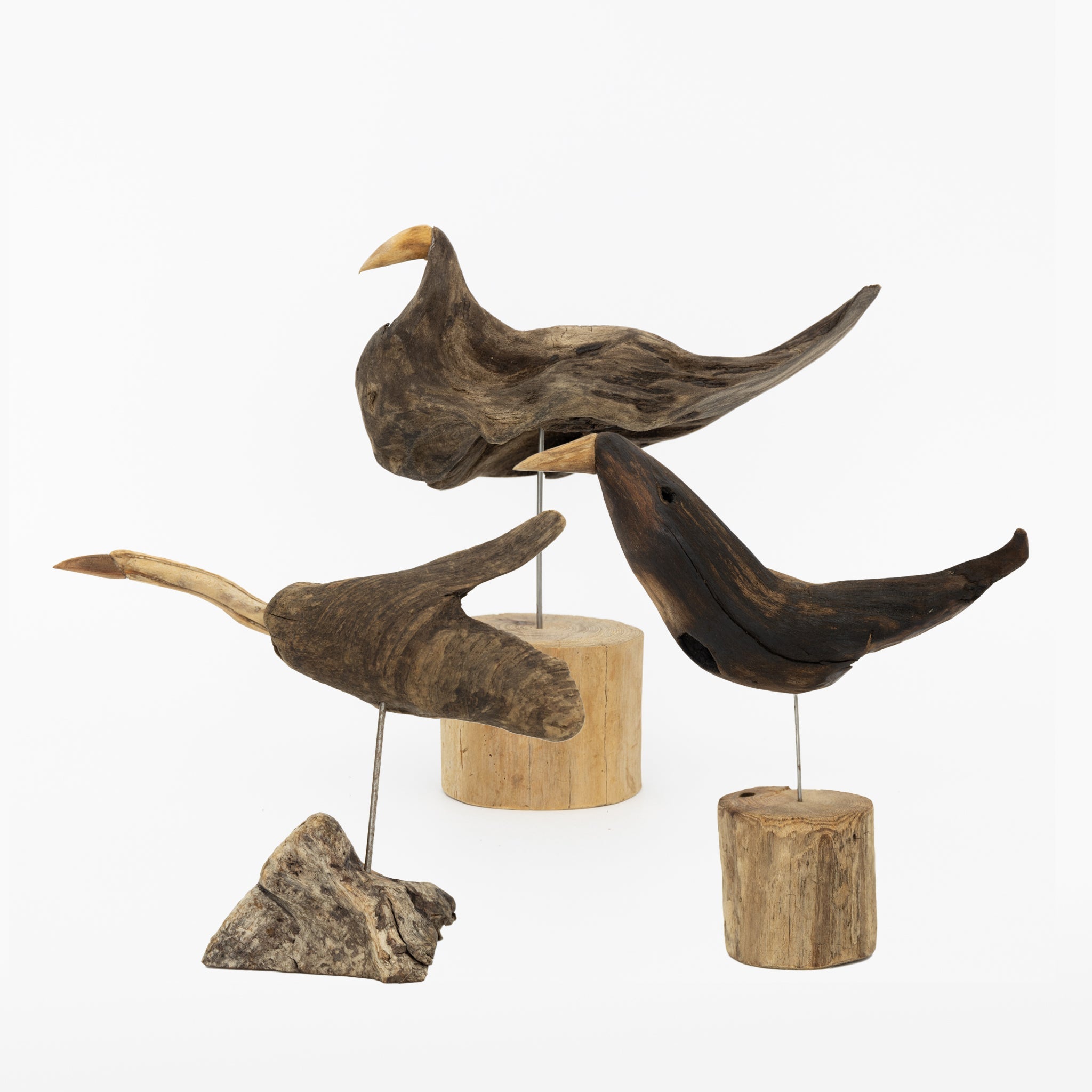 Osamu Harihara Driftwood Birds - Medium | Tortoise General Store